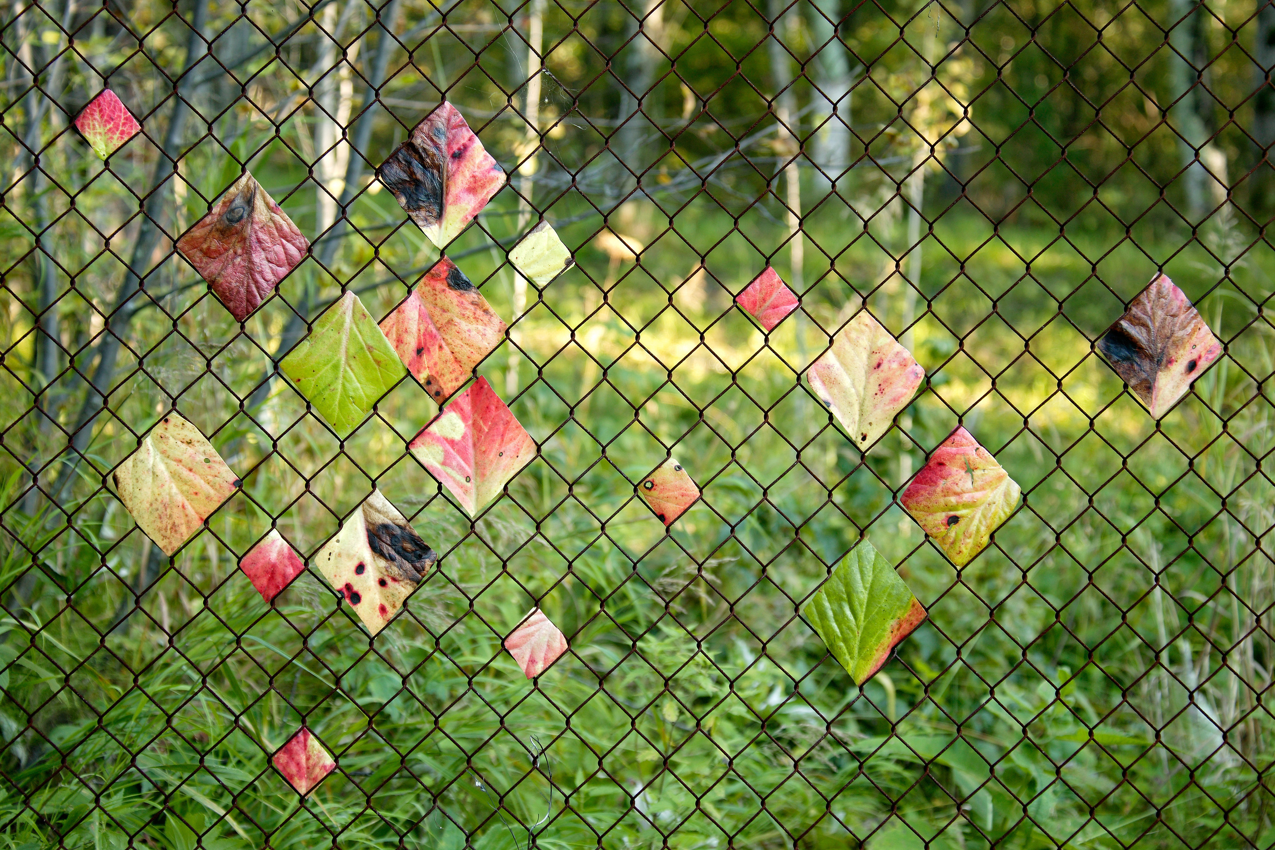 Флористический ежегодник International Annual Floral Art. Попов.фото — Предметная фотостудия в Новой Москве