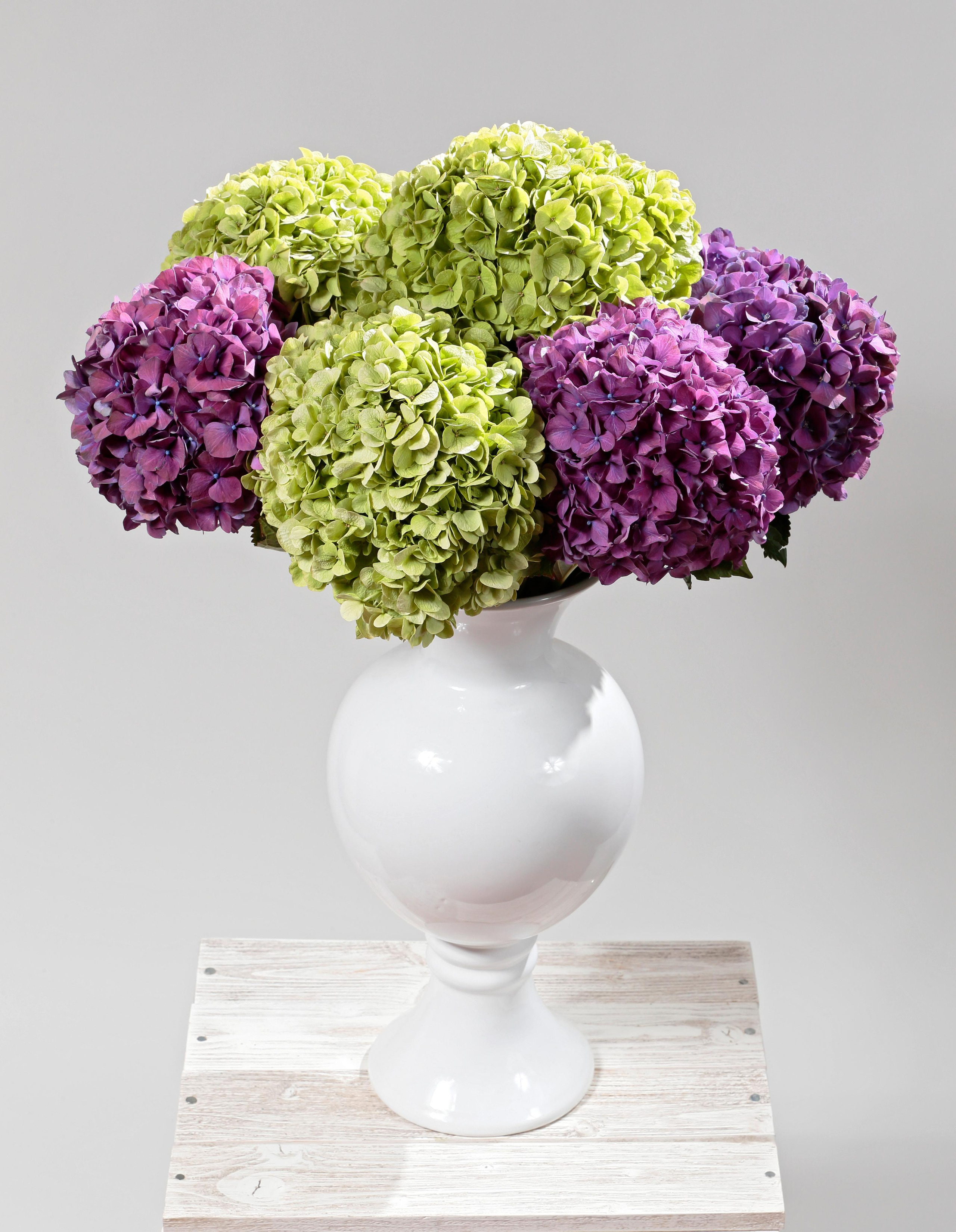 Фотосъёмка для компании Цветы и мечты. Попов.фото — Предметная фотостудия в Новой Москве