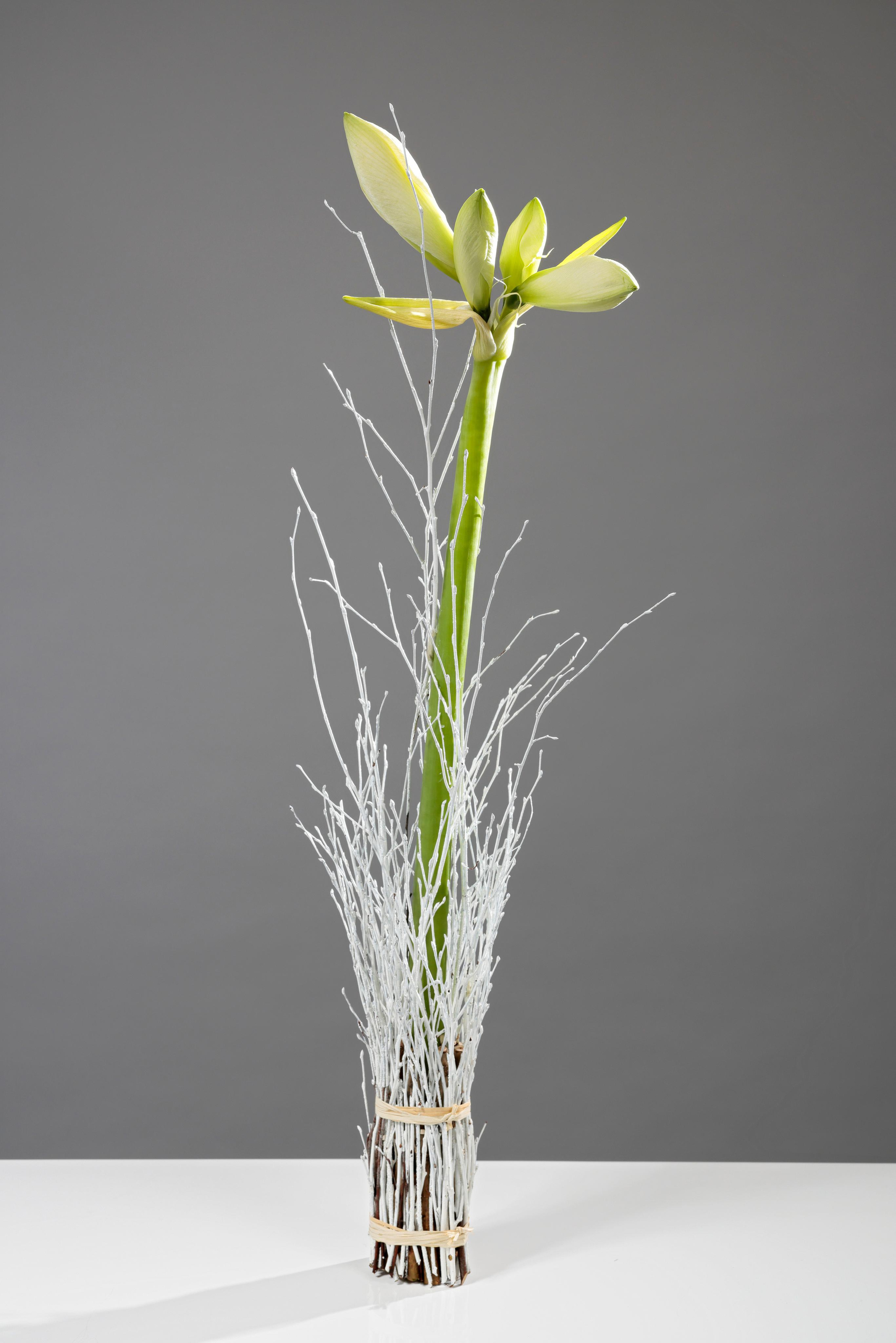 Флорист: Жанна Семёнова