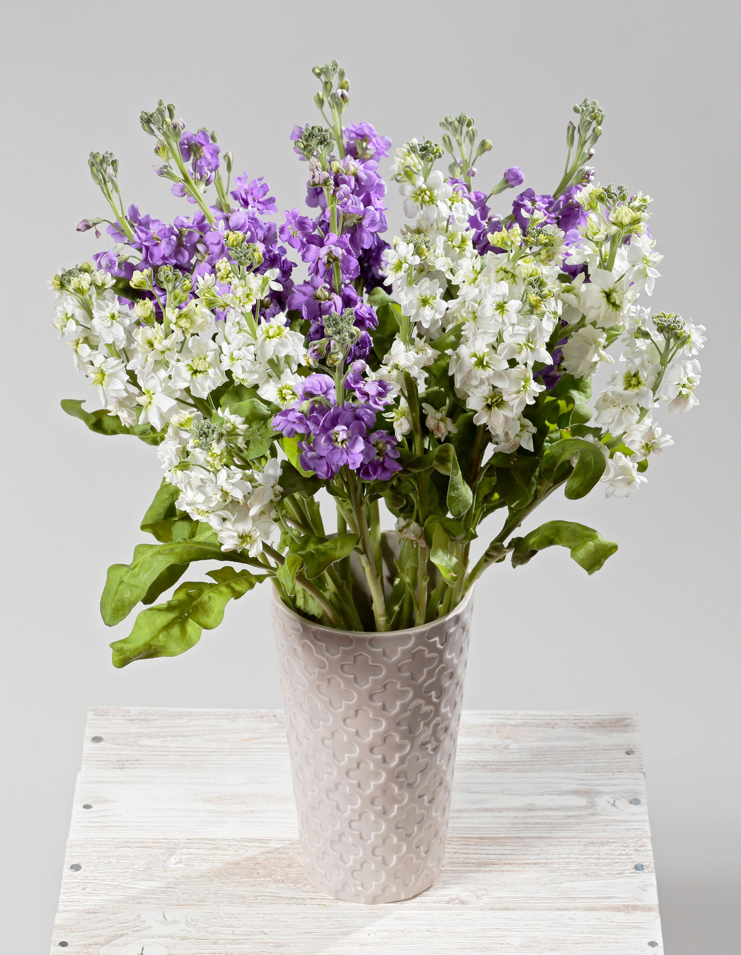 Фотосъёмка для компании Цветы и мечты. Попов.фото — Предметная фотостудия в Новой Москве