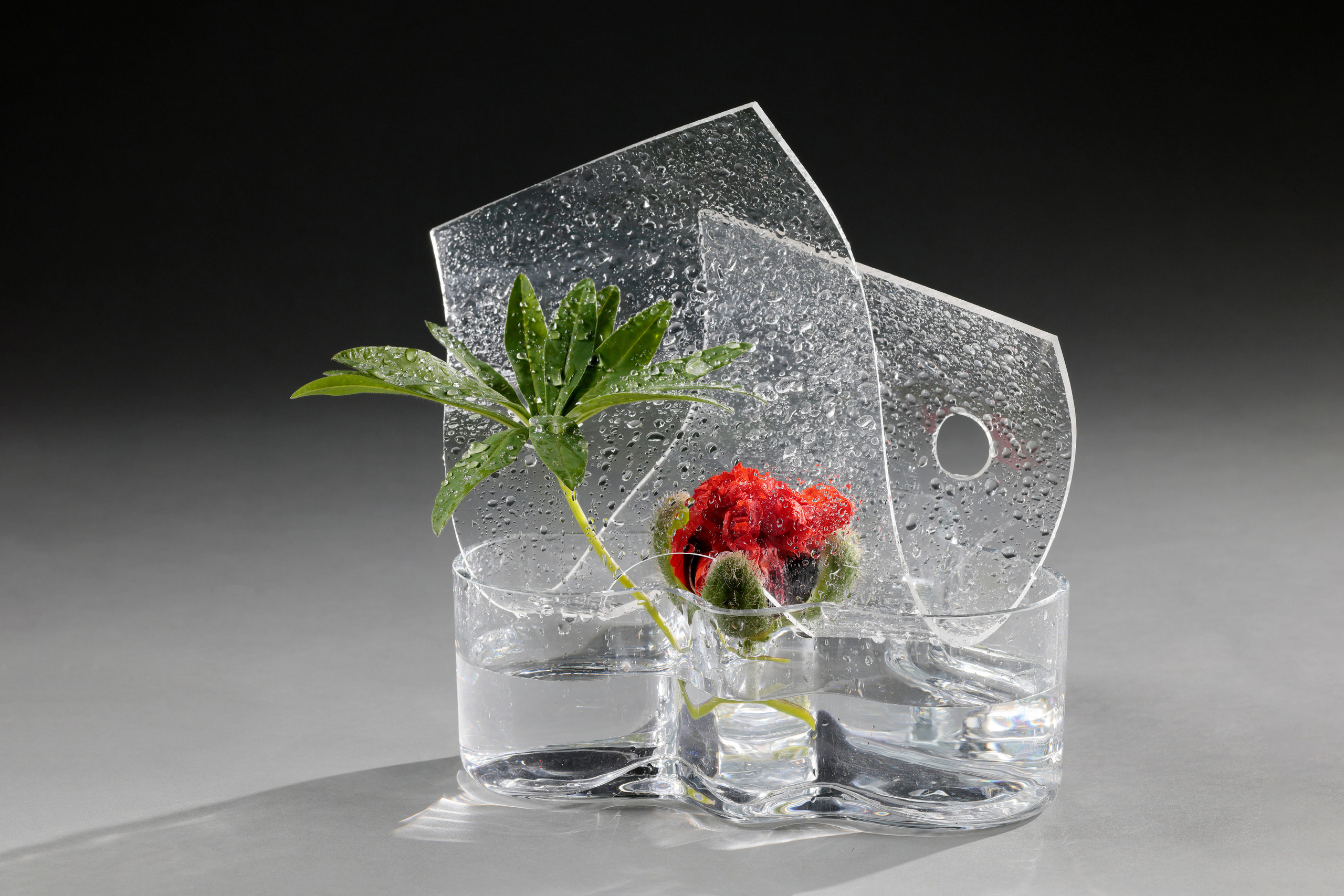 Книга Ikebana Opposites Attract (Бельгия)