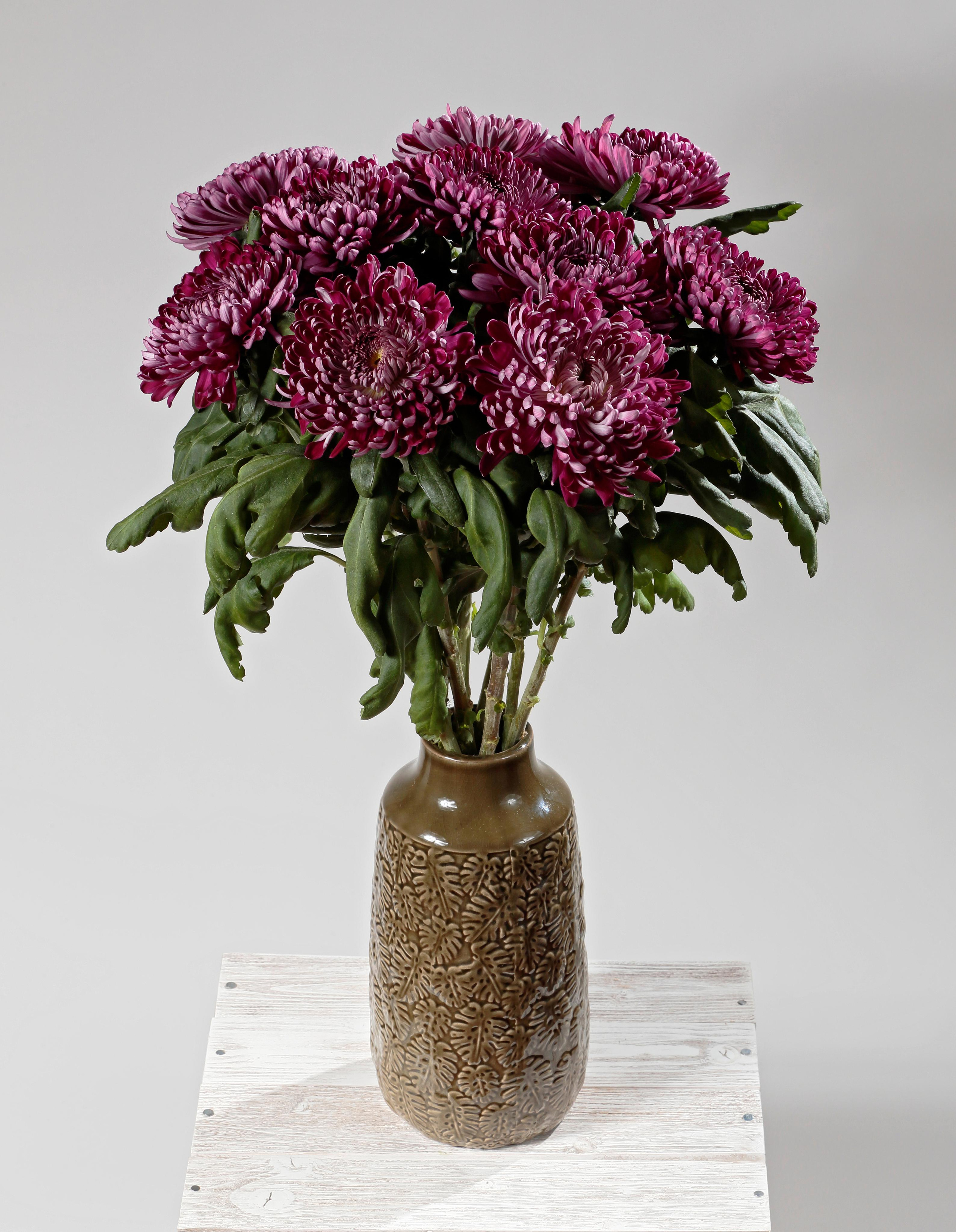 Фотосъёмка для компании Цветы и мечты. Попов.фото — Предметная фотостудия в Новой Москве