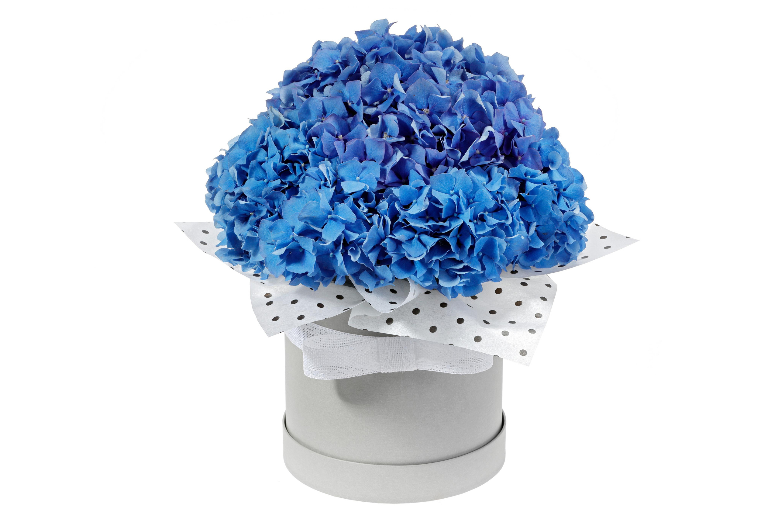 Фотосъёмка для компании Флорист.ру. Попов.фото — Предметная фотостудия в Новой Москве