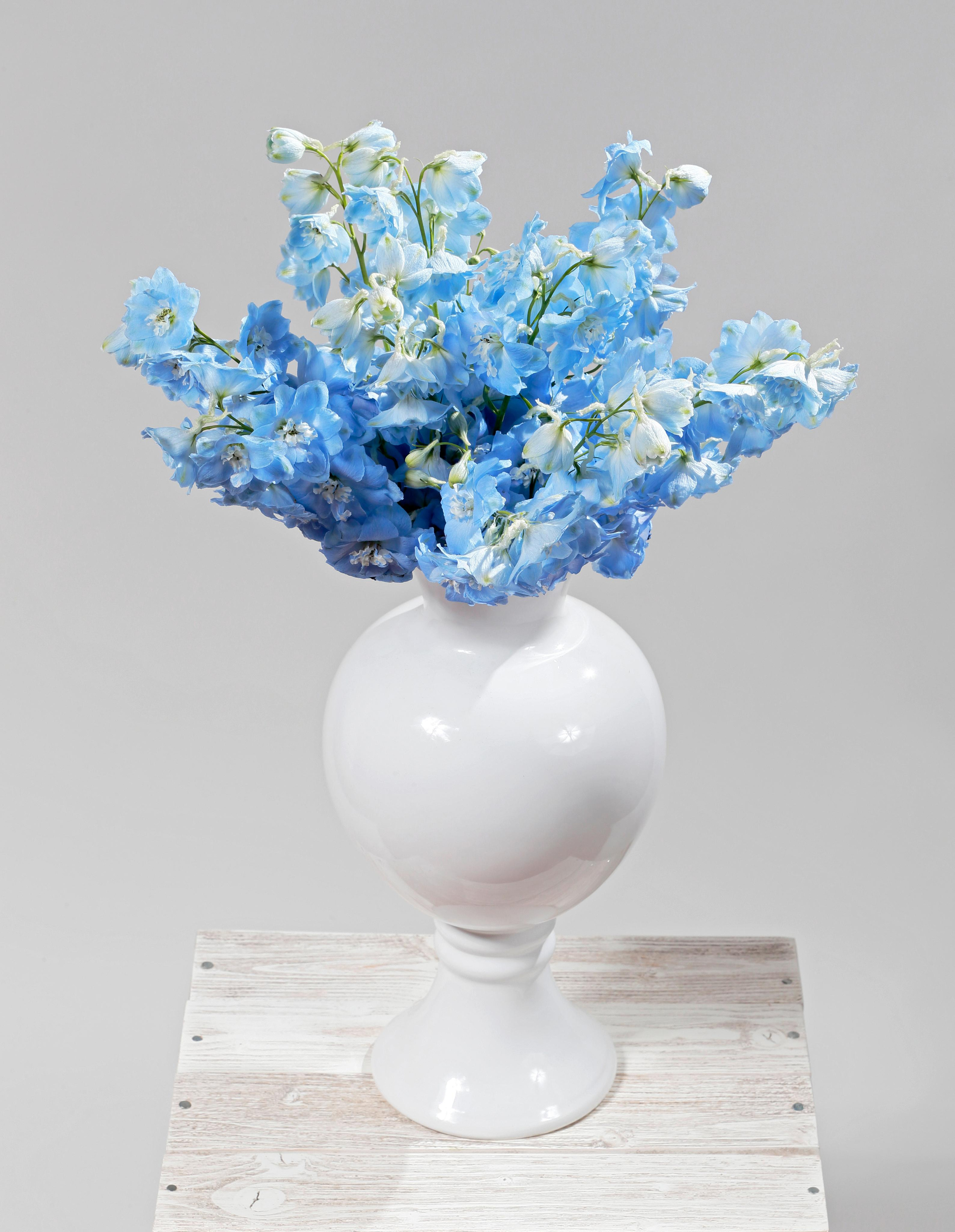 Фотосъёмка для компании Цветы и мечты. Попов.фото — Предметная фотостудия в Новой Москве