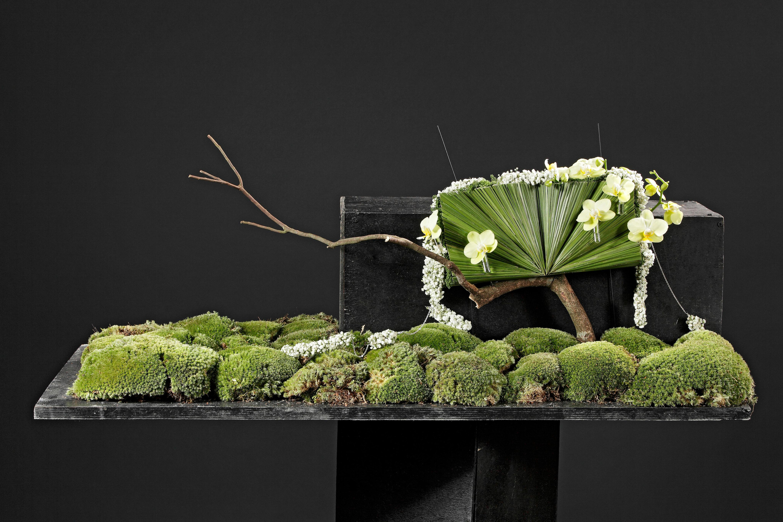 Флорист: Элли Лин