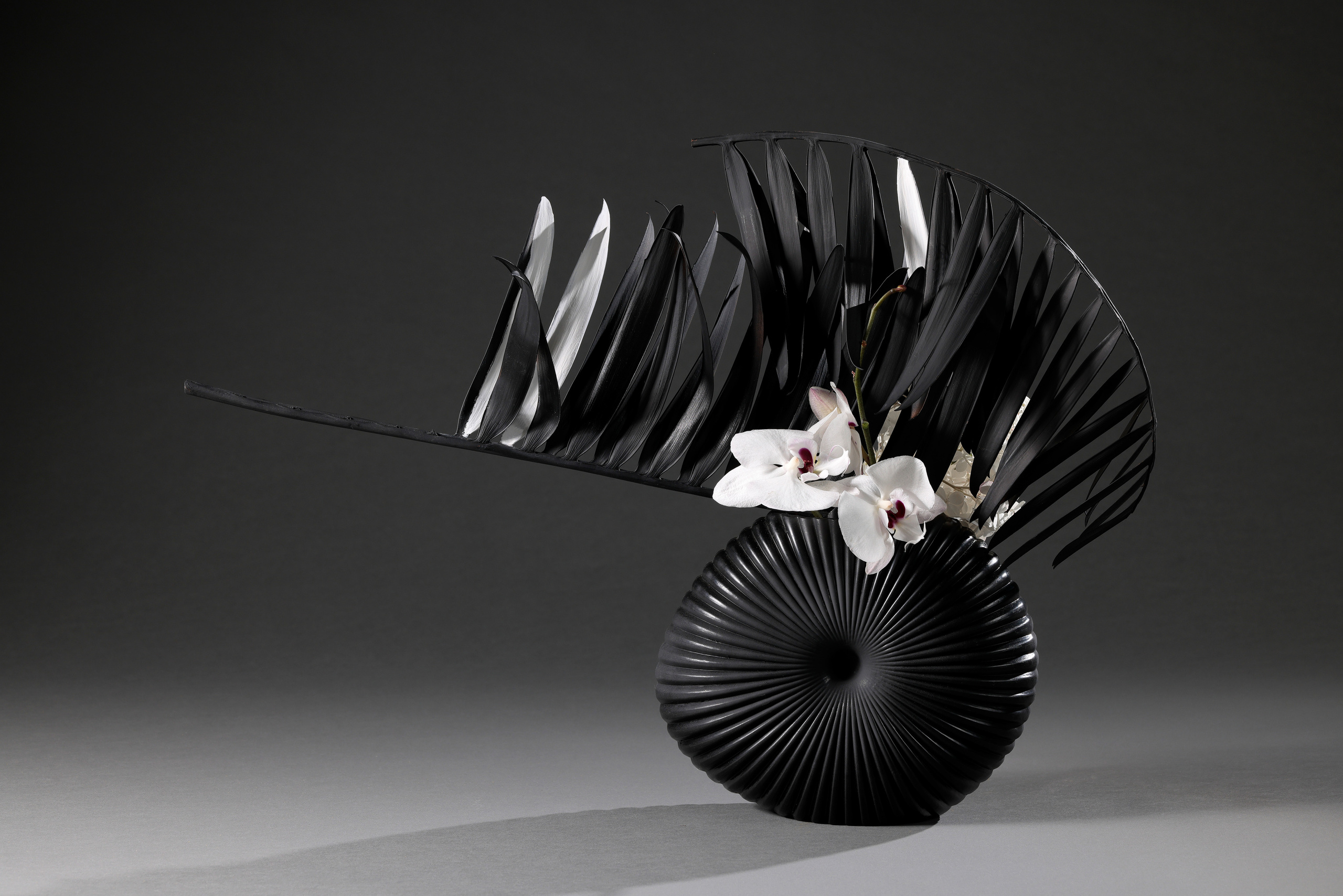 Икебана в чёрной круглой вазе с чёрным крашенным листом саговника и орхидеей на сером фоне.