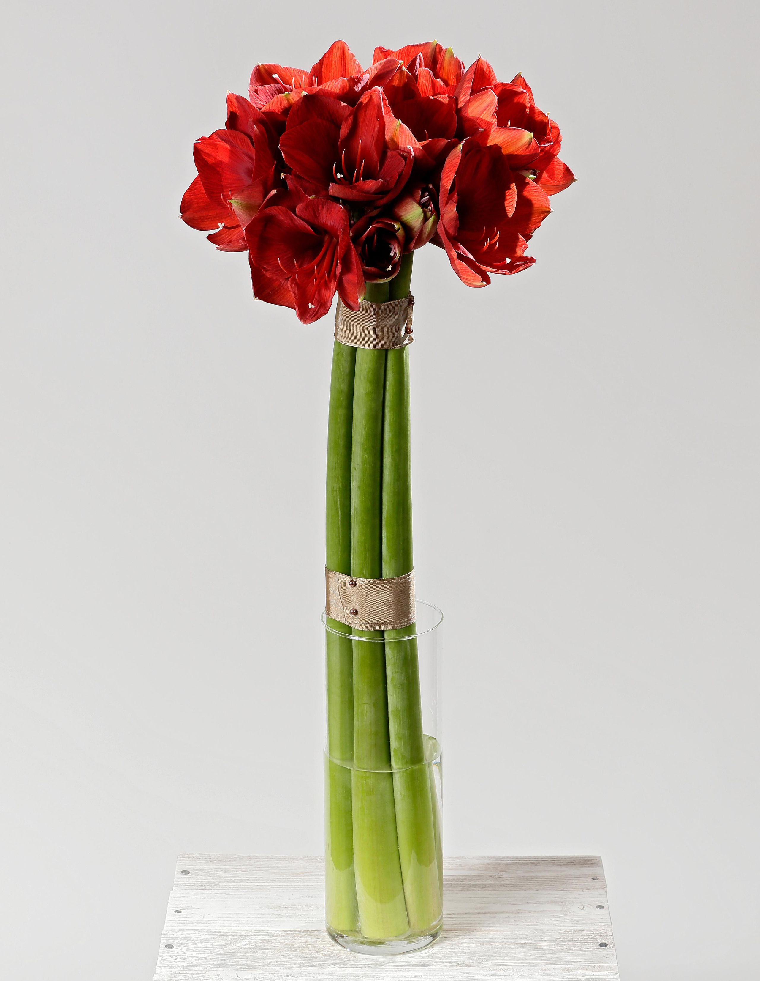 Фотосъёмка для компании Цветы и мечты. Попов.фото — Предметная фотостудия в Новой Москве