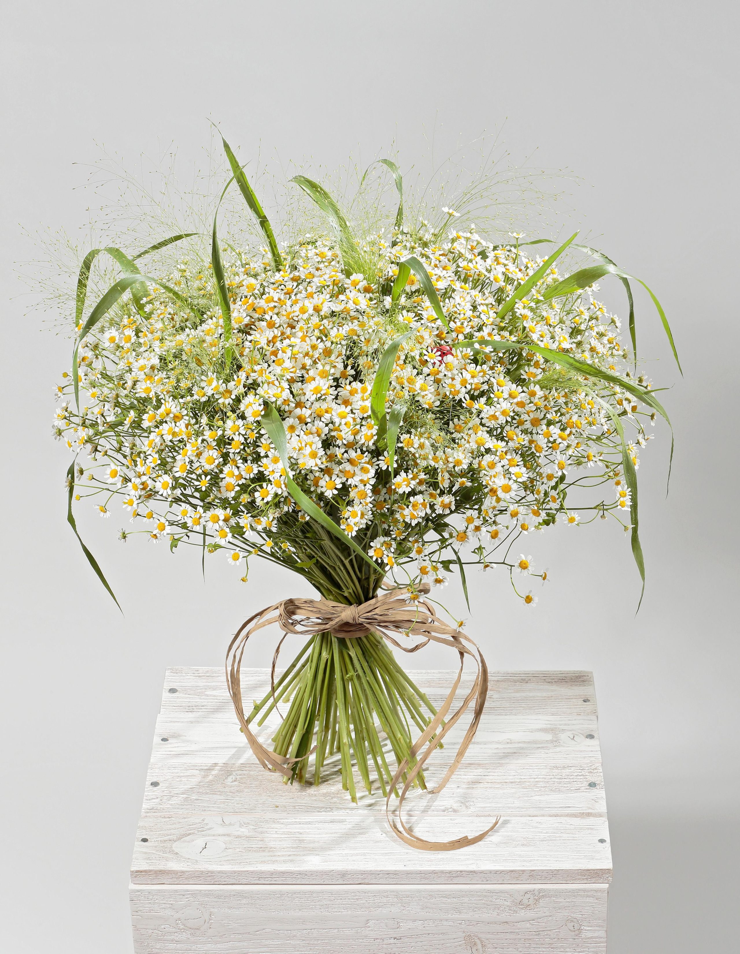 Фотосъёмка для компании Цветы и мечты. Попов.фото — Предметная фотостудия в Новой Москве