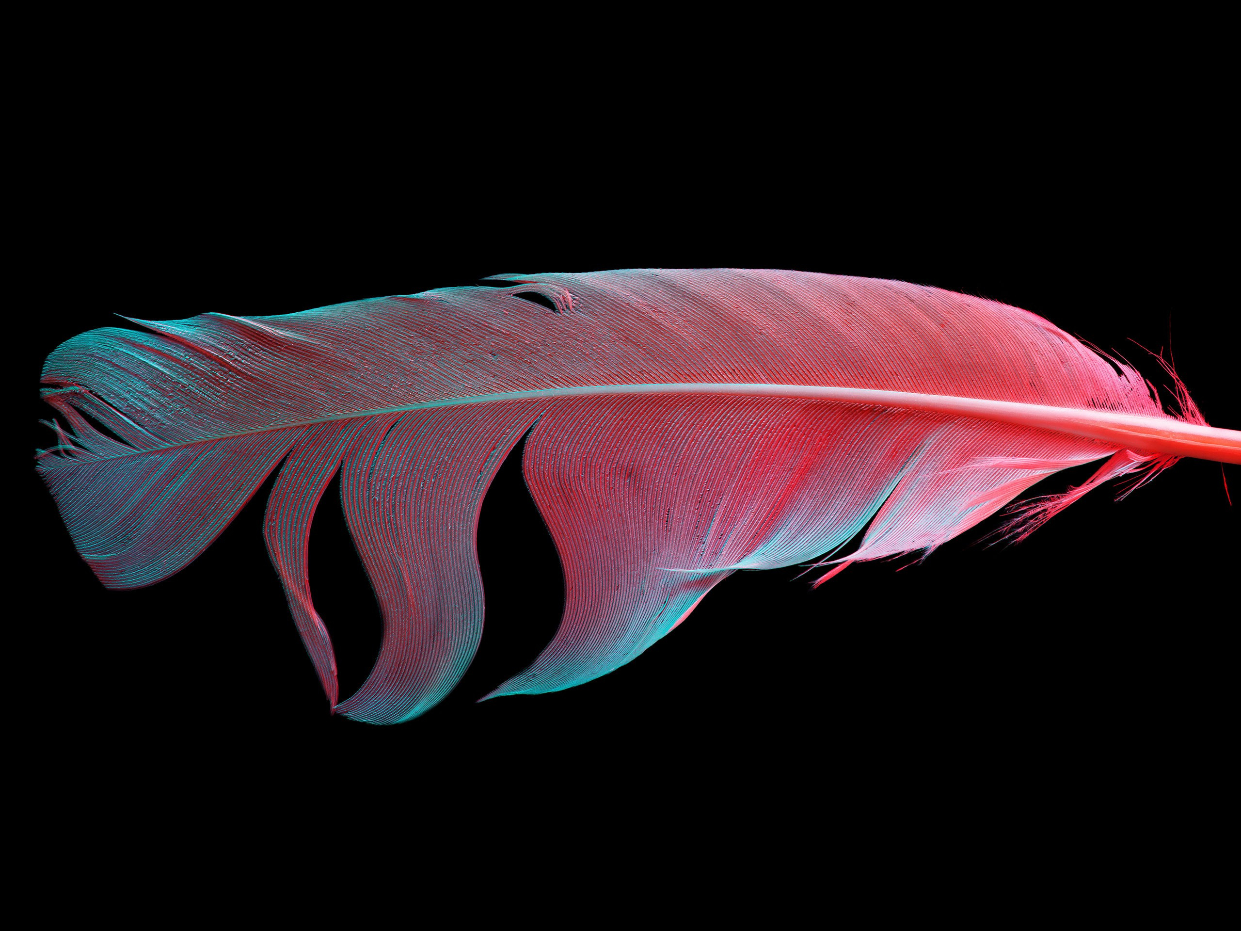 Павел Авакумов, фотограф в Москве P-AVA.COM