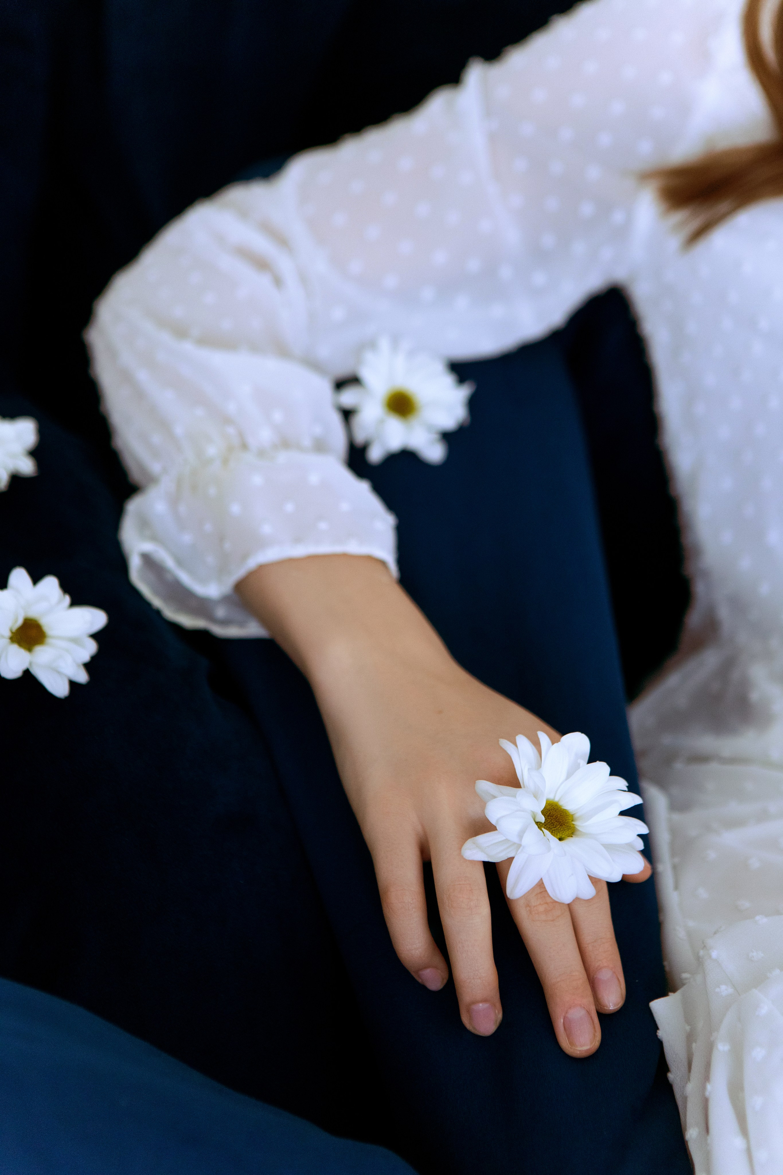 Chrysanthemum. Фотограф Махлаева Виктория/Санкт-Петербург