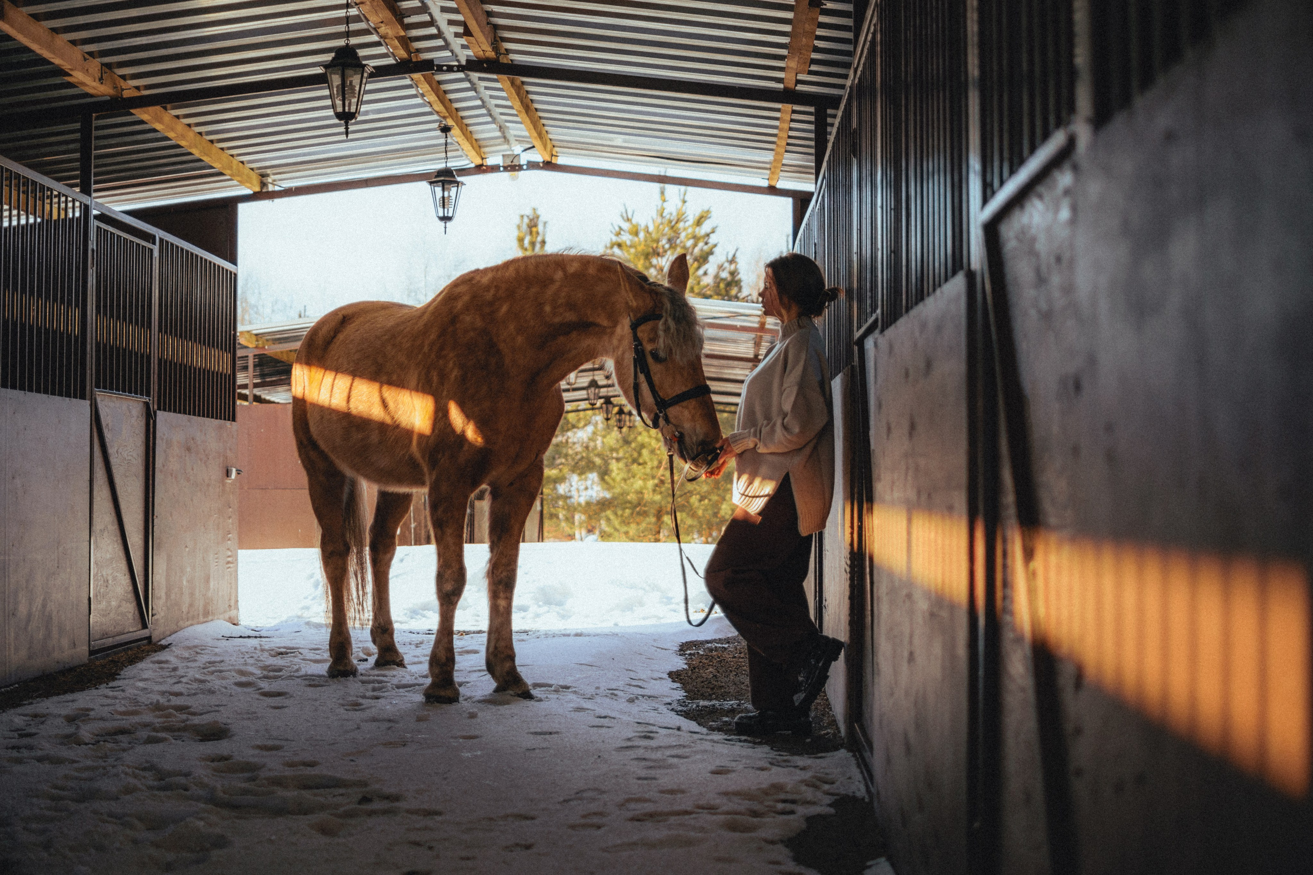 Маша и Фрутти. MariaGohri — Конный фотограф, анималист, Рязань