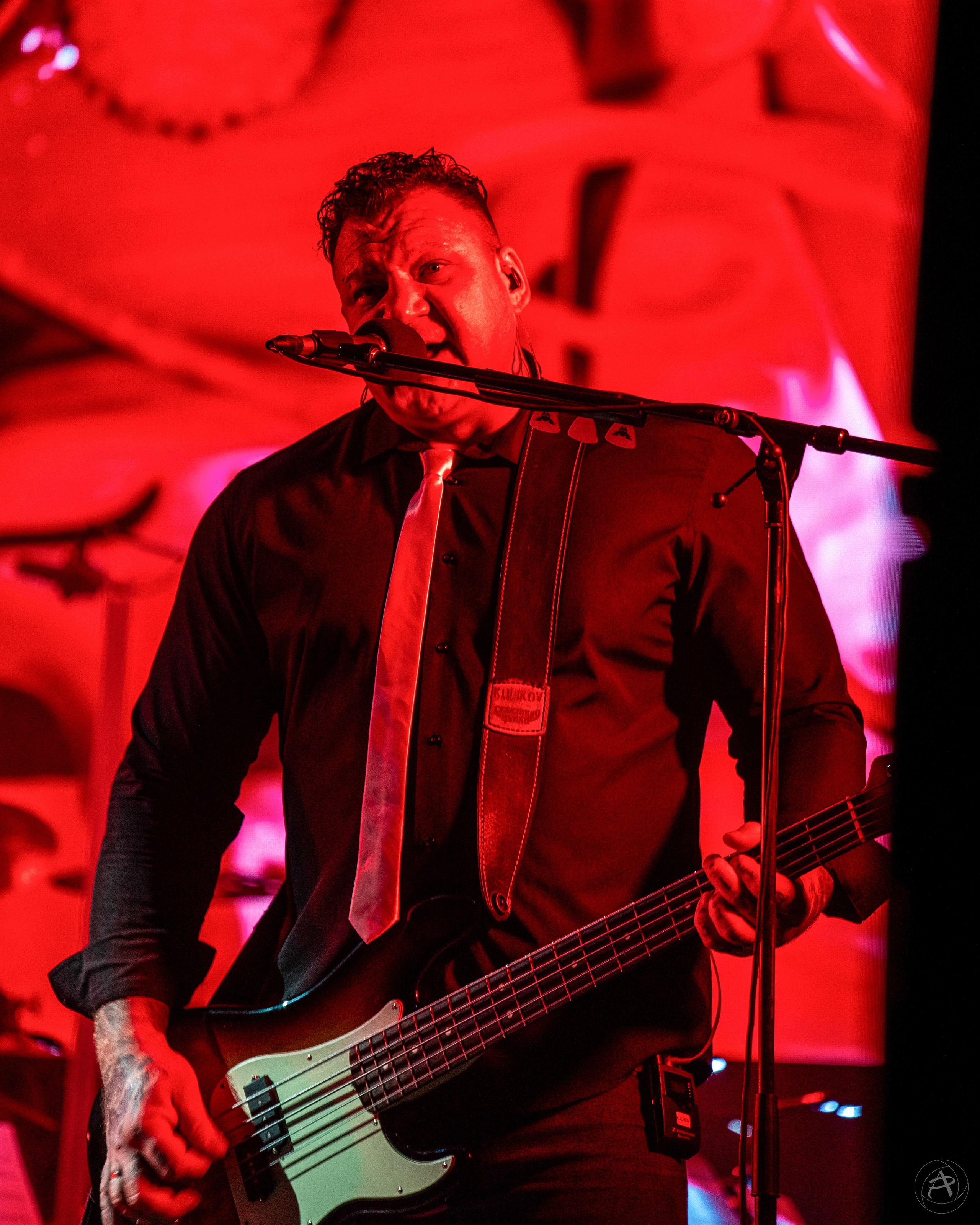 Северный Флот. ДК ПЗ (Вологда). Концертный фотограф Аля Рашпиль