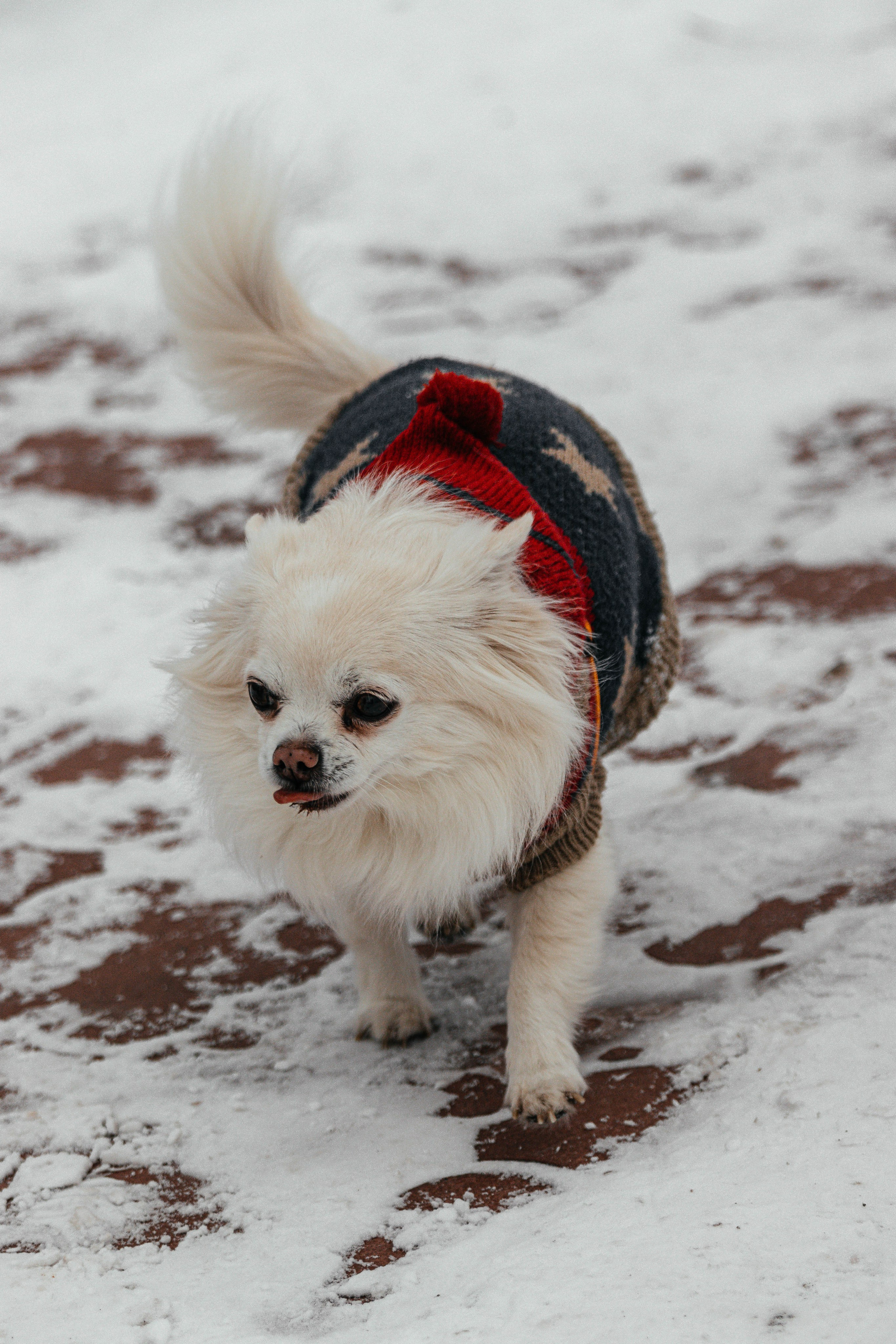 UrbanRothkoStreet. Street photographer