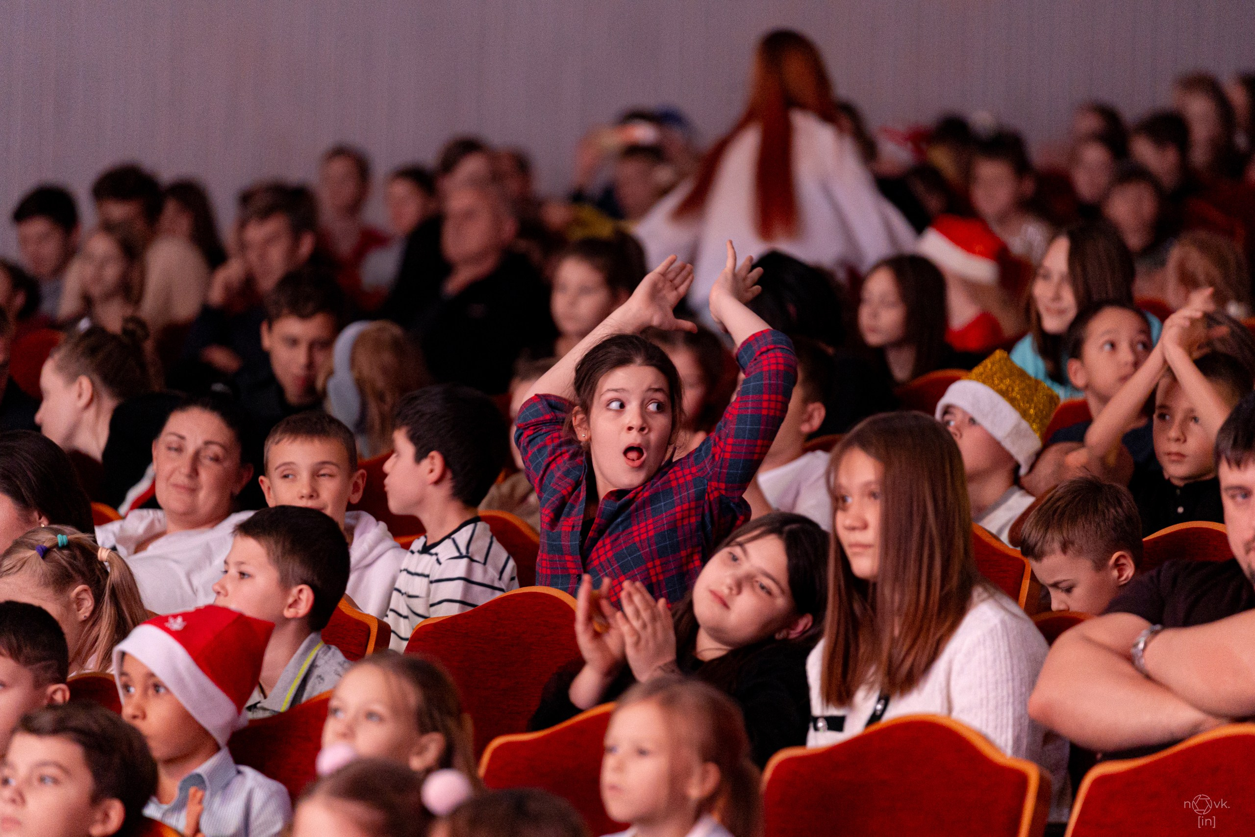 Ёлка. ФОТОГРАФ ИВАН НОВИКОВ | СТАВРОПОЛЬ