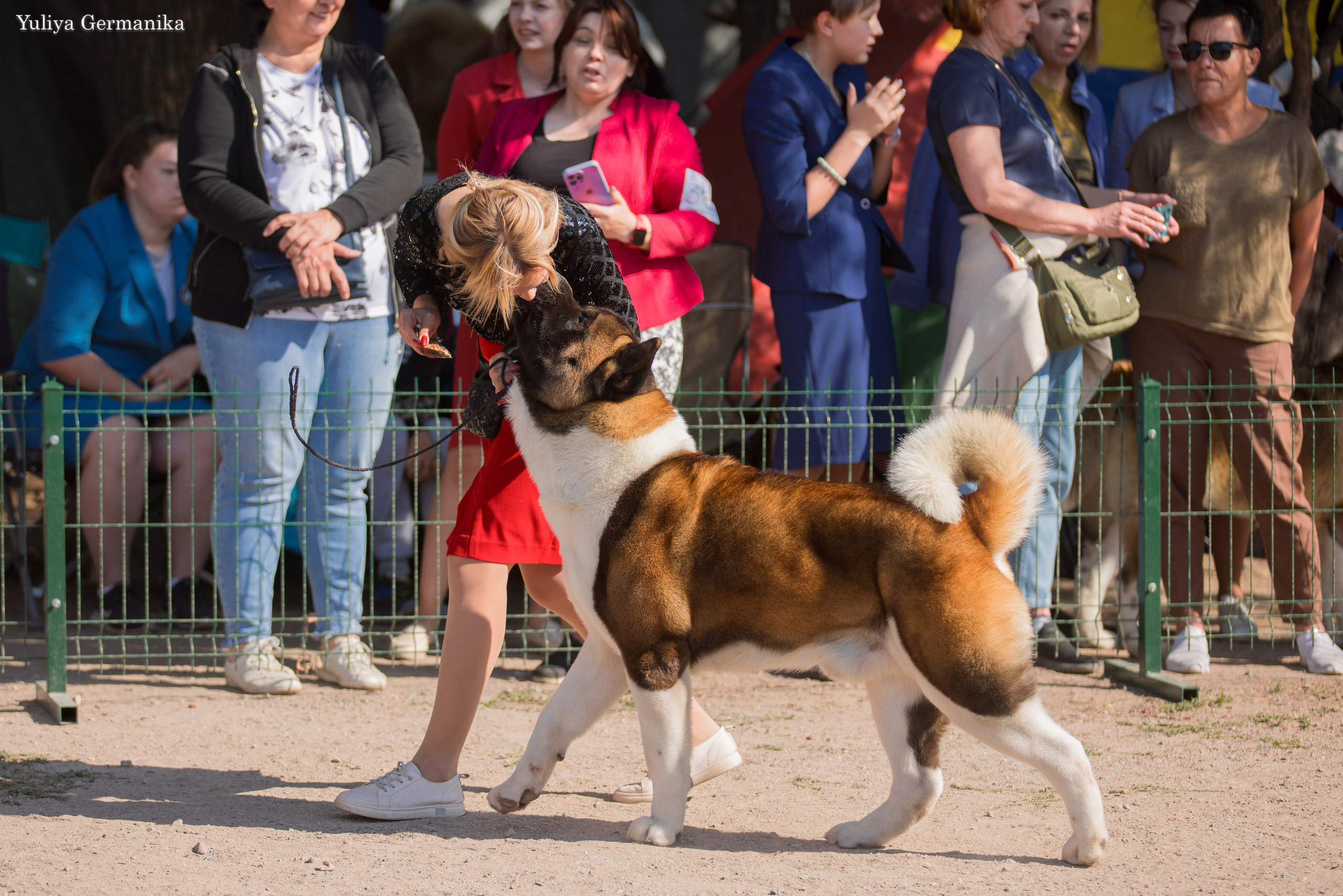 Бишкек 29.09-01.10.2023. Фотограф-анималист Юлия Германика