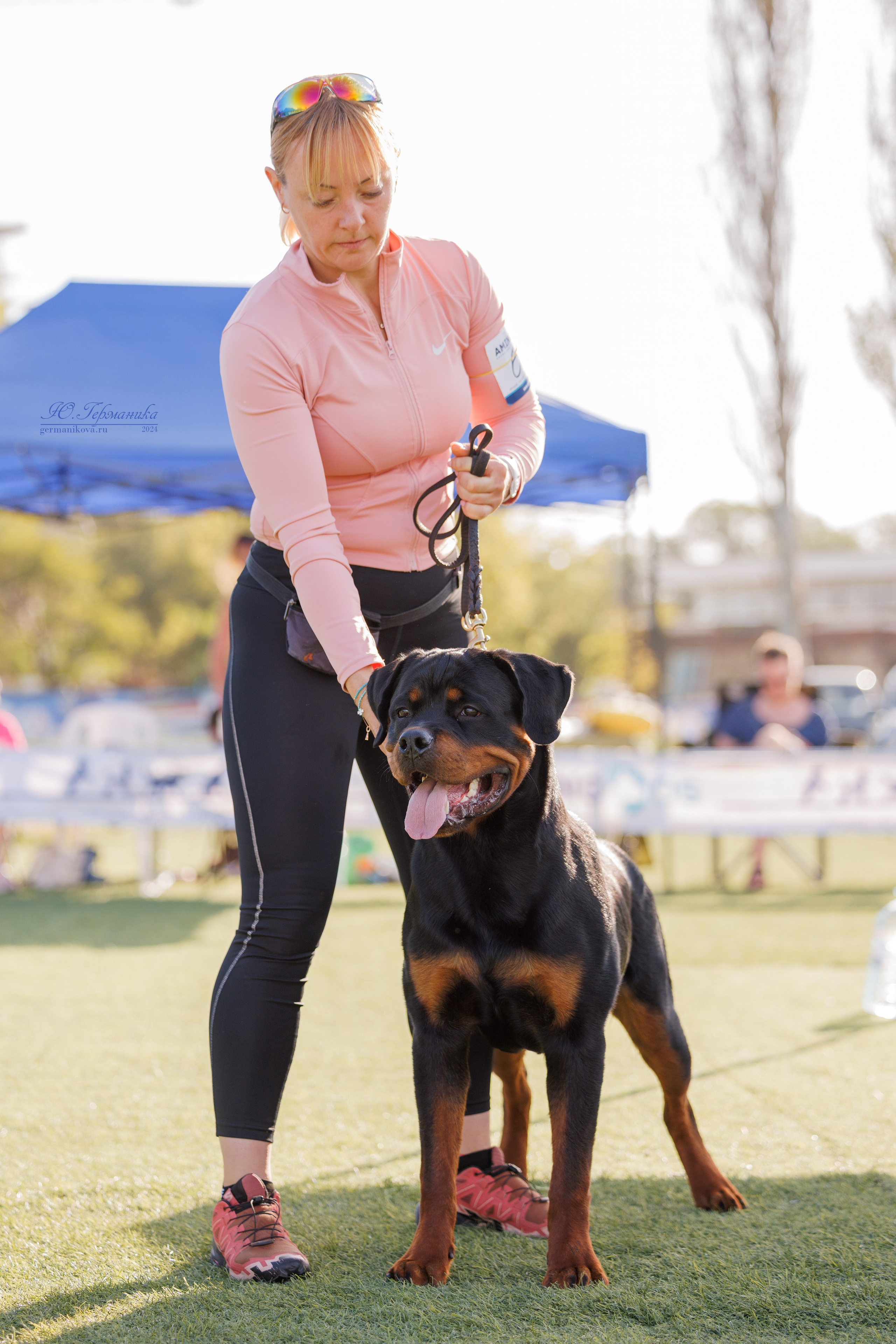 Анапа ротвейлеры 14-15.09.2024. Фотограф-анималист Юлия Германика