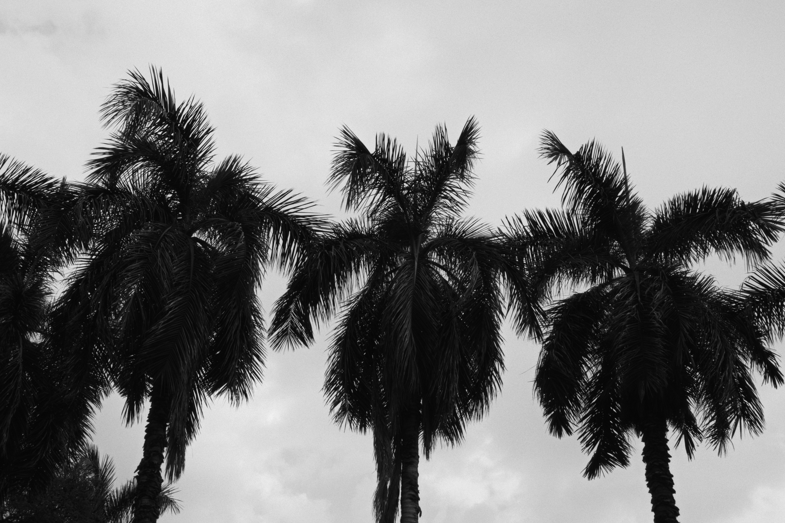 Cairo / Egypt AW25. Фотограф Юрин Евгений