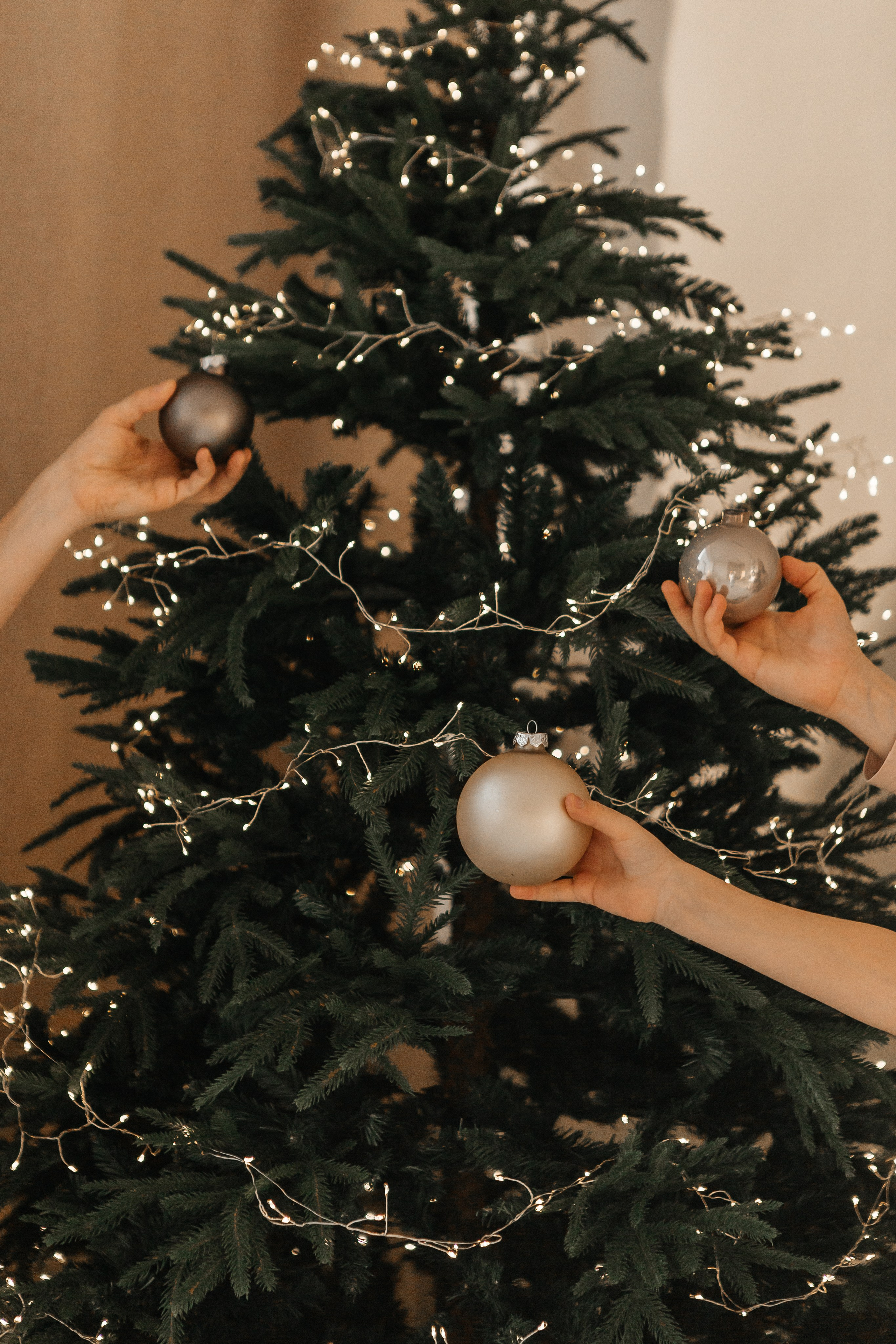 Юрий, Елена, Илья, Ярослав и Мелания. Накануне Нового года. Семейный фотограф в Калининграде Анастасия Юрина