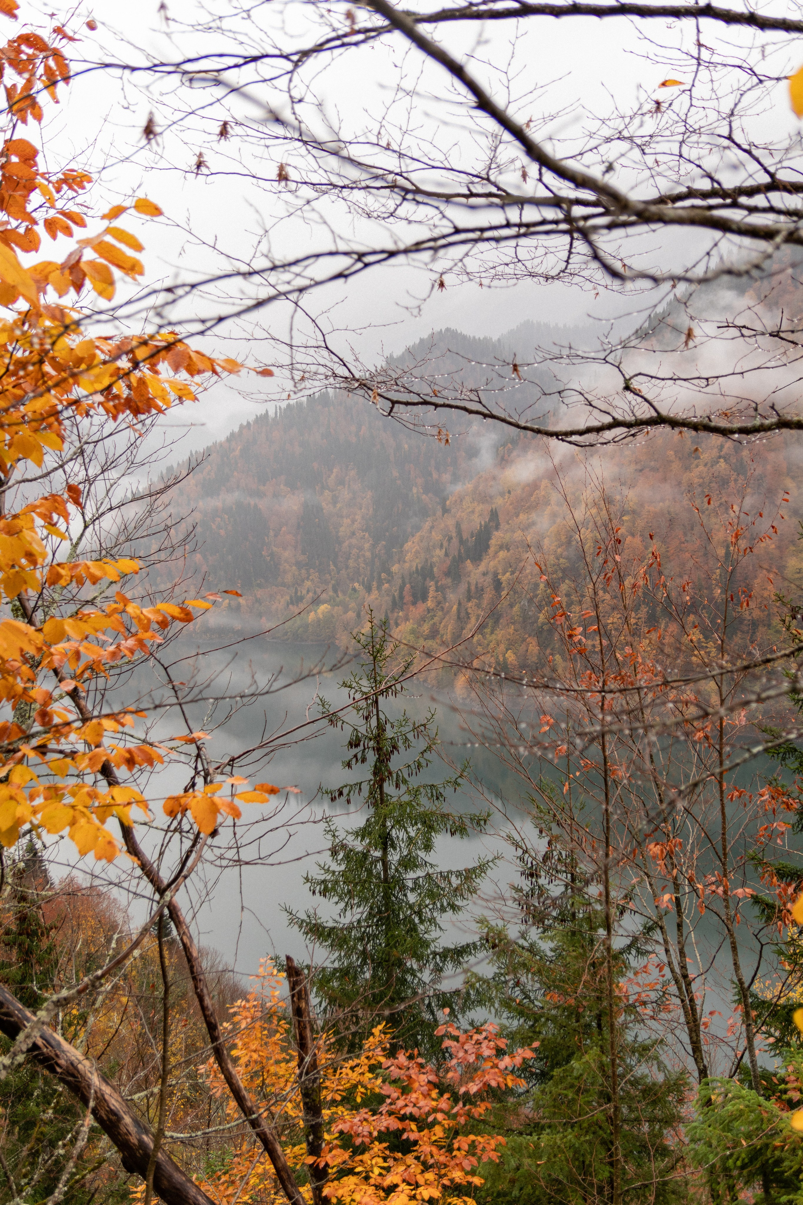 Абхазия. Фотограф Севастополь, Крым. Портретный и репортажный фотограф Коваленко Антонина