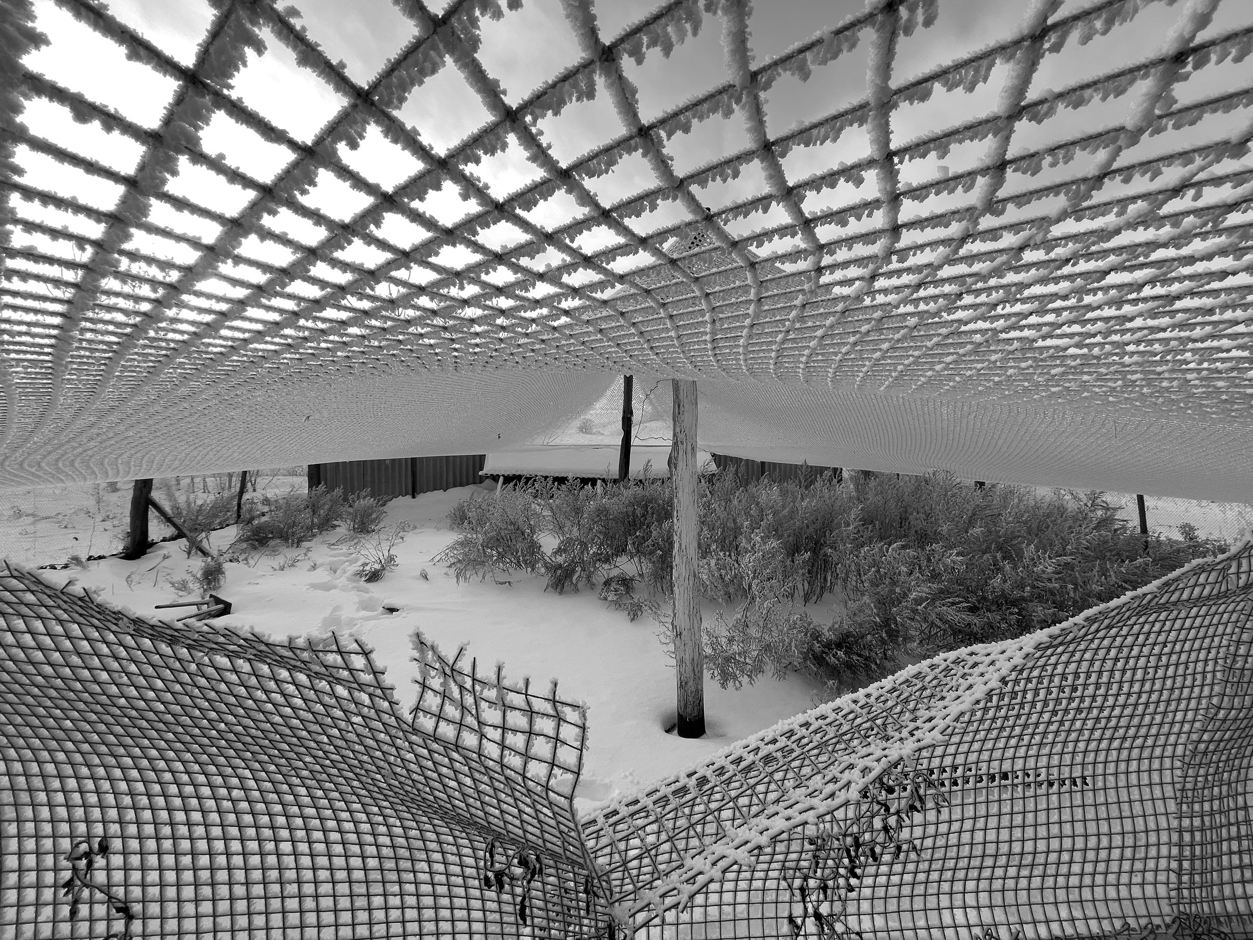 Клетка. Фотограф Мария Усманова, Казань