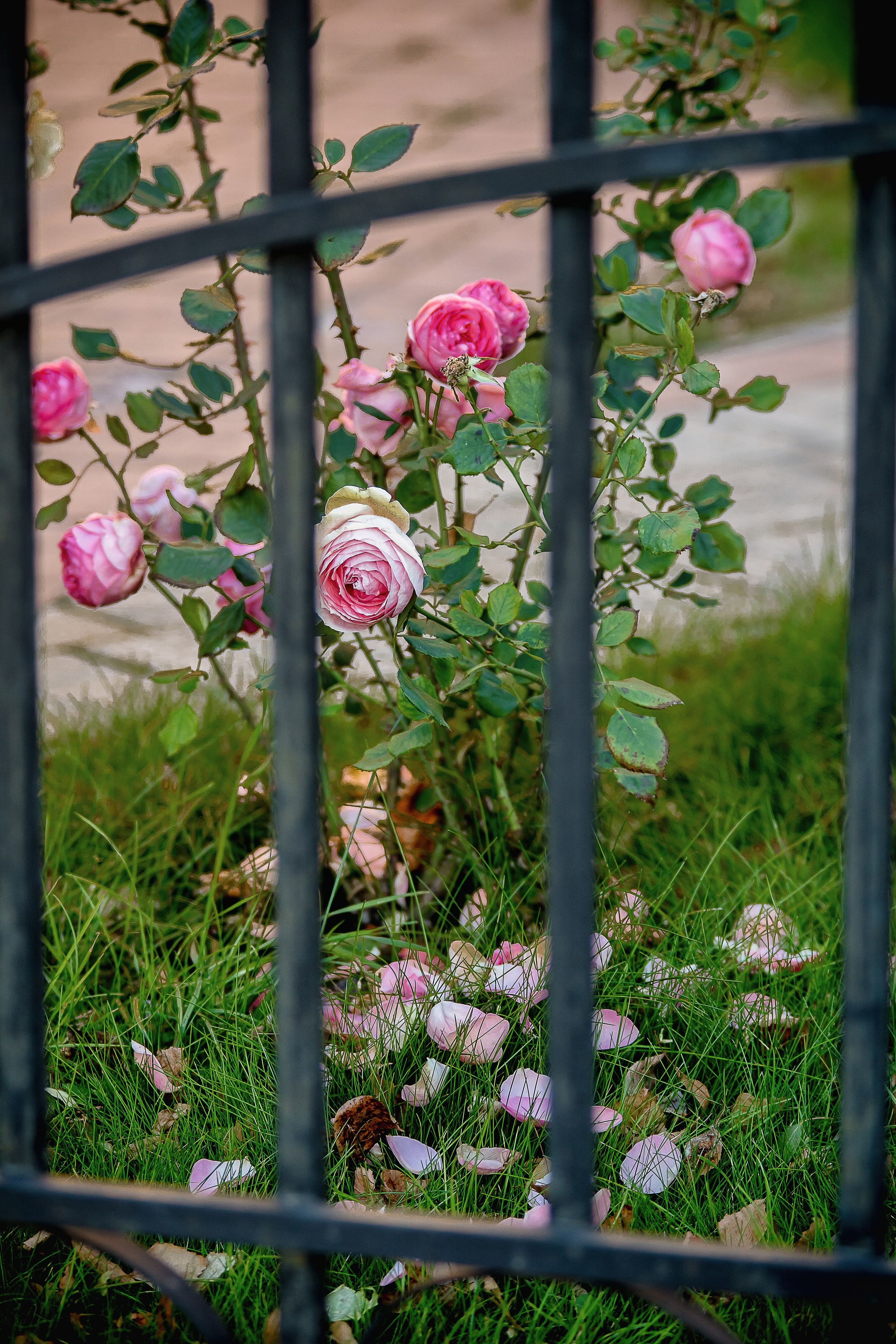 Наша мать — природа. Фотограф Владимир Артамонов