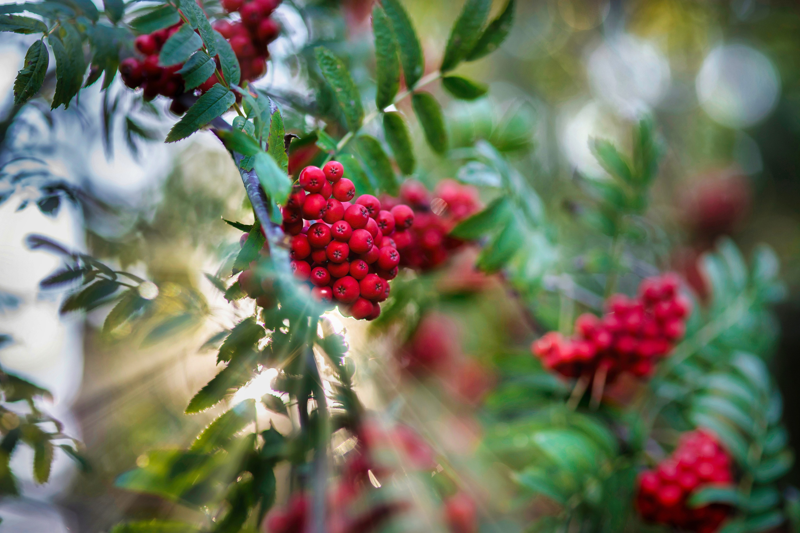 На озере Нарочь. Белоруссия