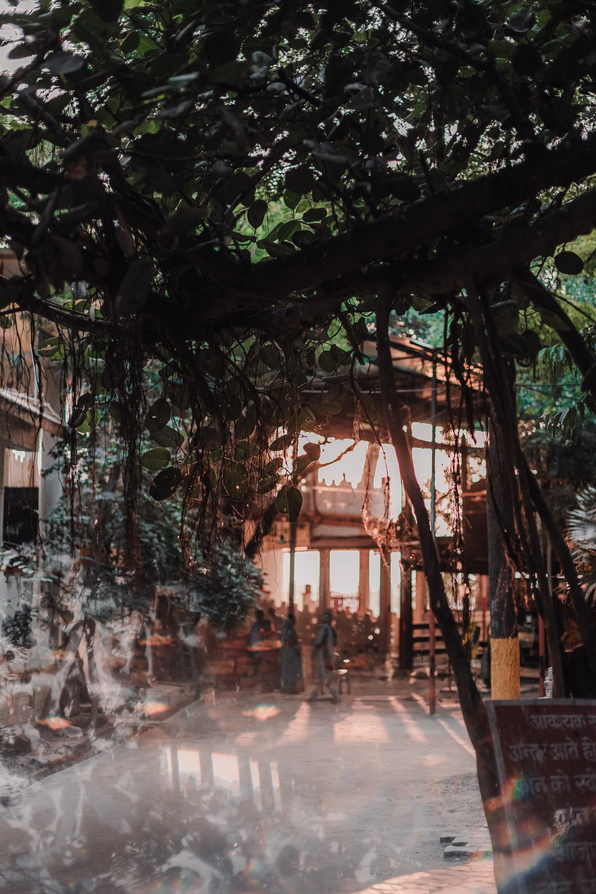 Devraha Baba Ji Ashram in Vrindavan. Мариам Багдасарян