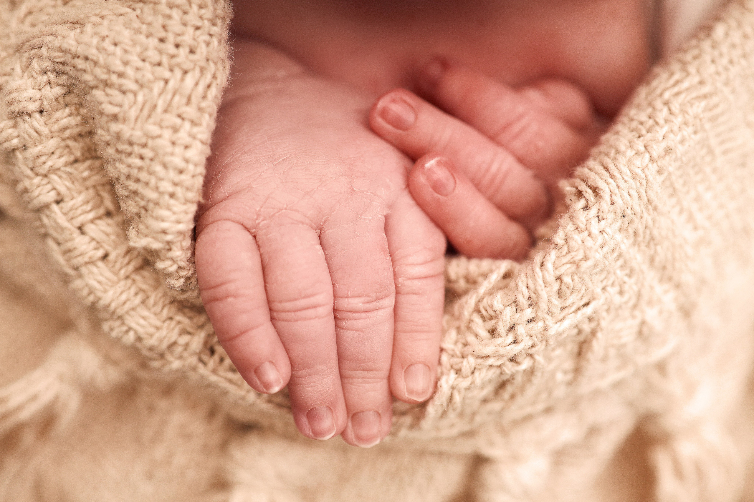 Новорожденные девочки. Фотограф новорожденных в Новокузнецке Анна Горошникова