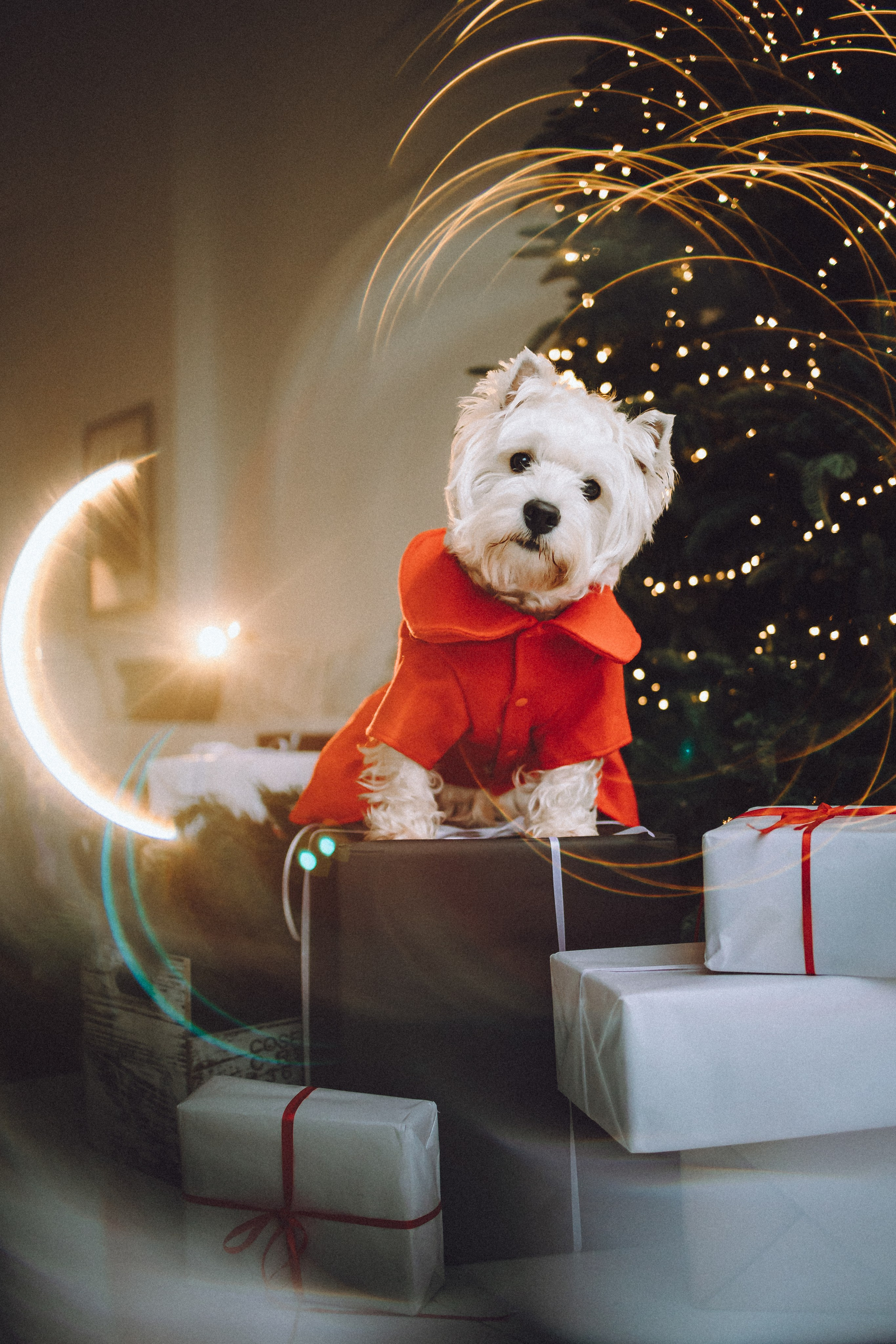 Вика, Глеб и Тори