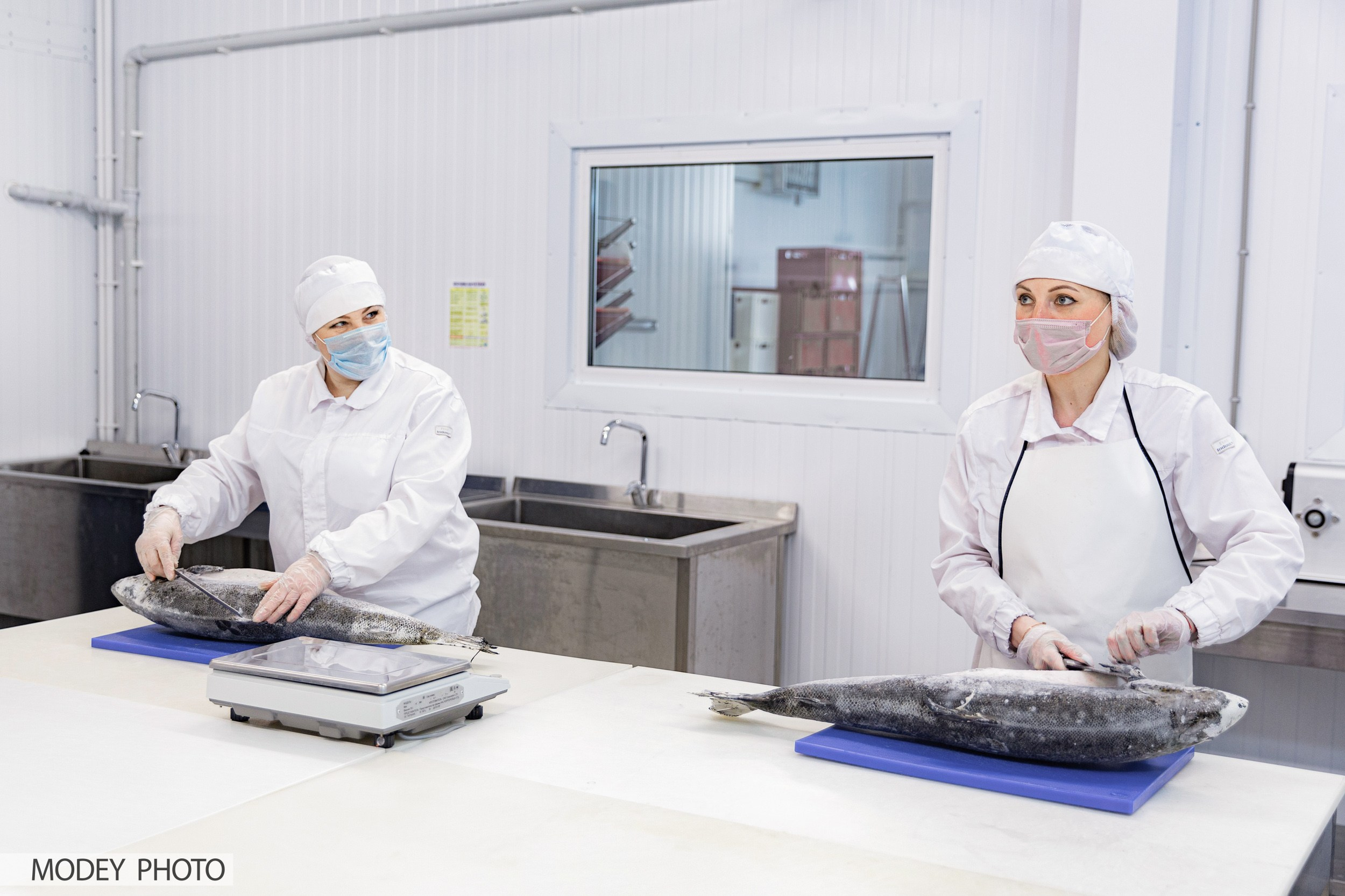 Производственный процесс пищевого цеха