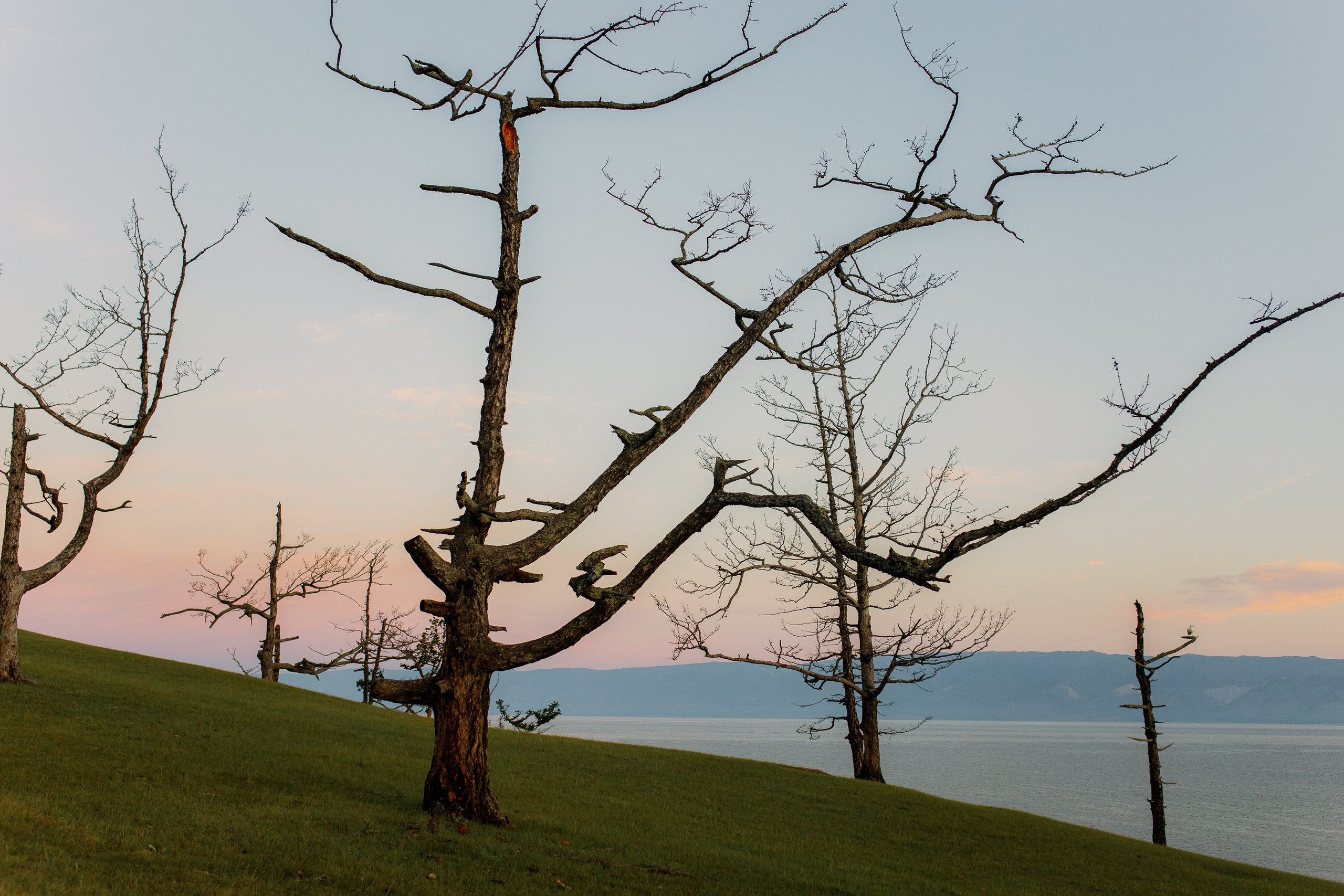 Семинар Танит на острове Ольхон. Фотограф Ольхон/ Индия, Регина