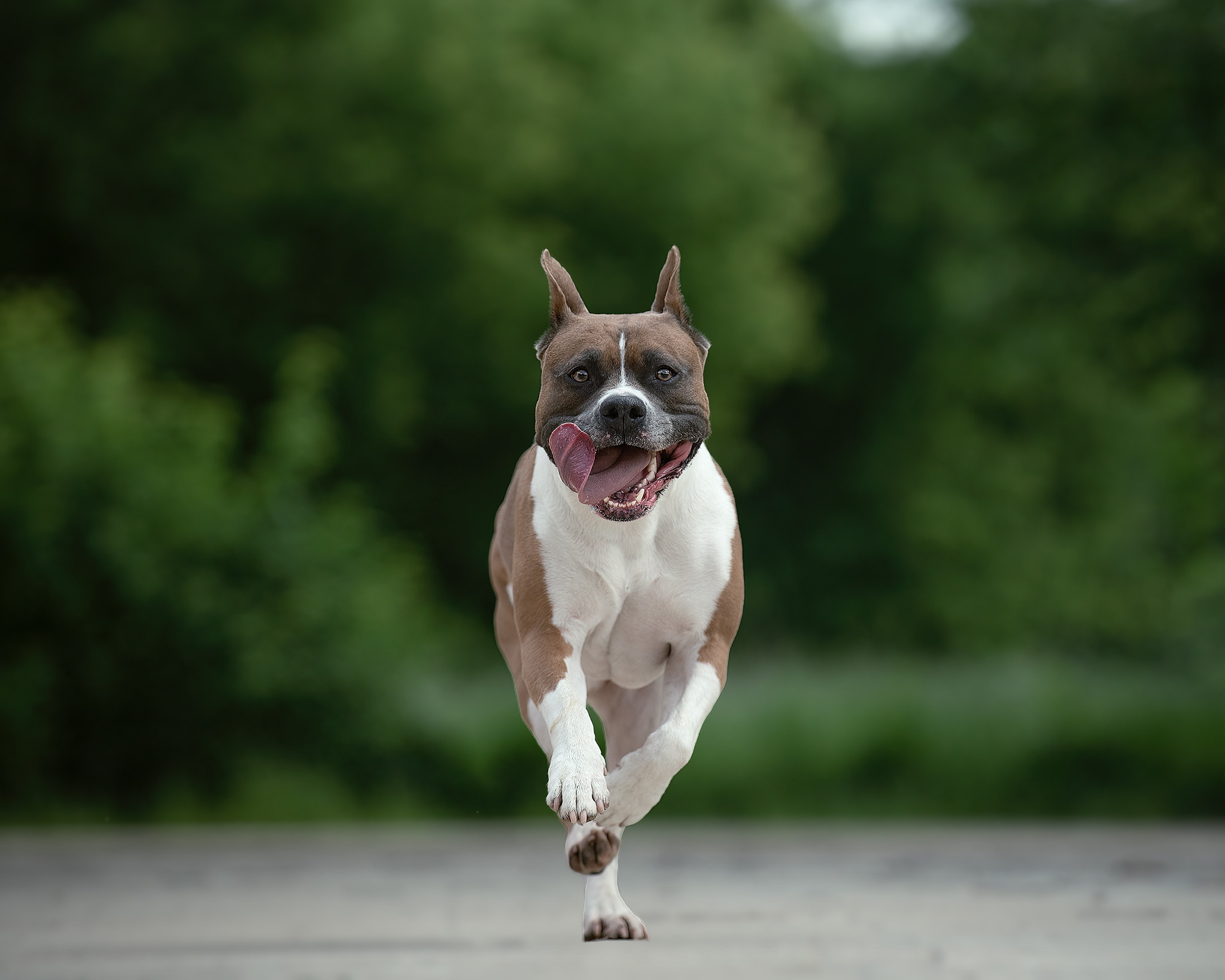 Отзывы. Фотограф Анастасия Ветковская, Москва