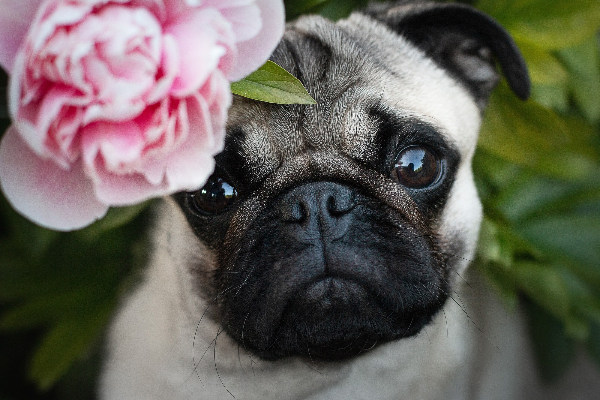 Отзывы. Фотограф Анастасия Ветковская, Москва