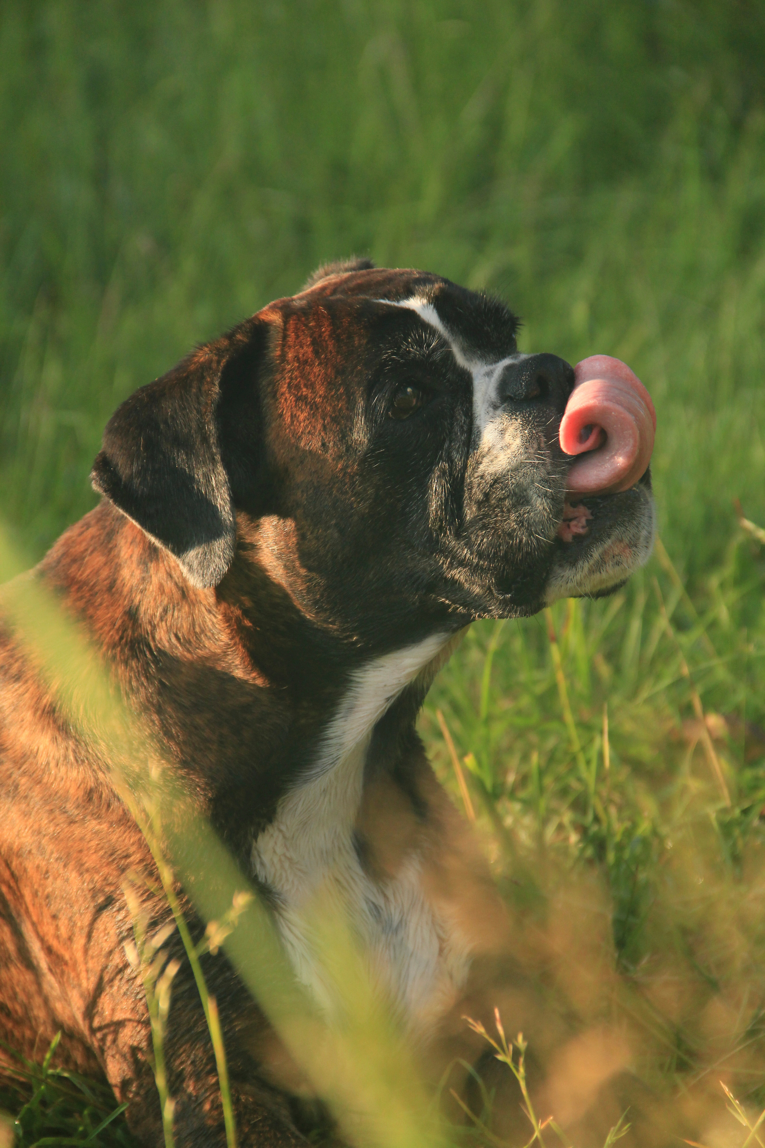 Отзывы. Фотограф Анастасия Ветковская, Москва