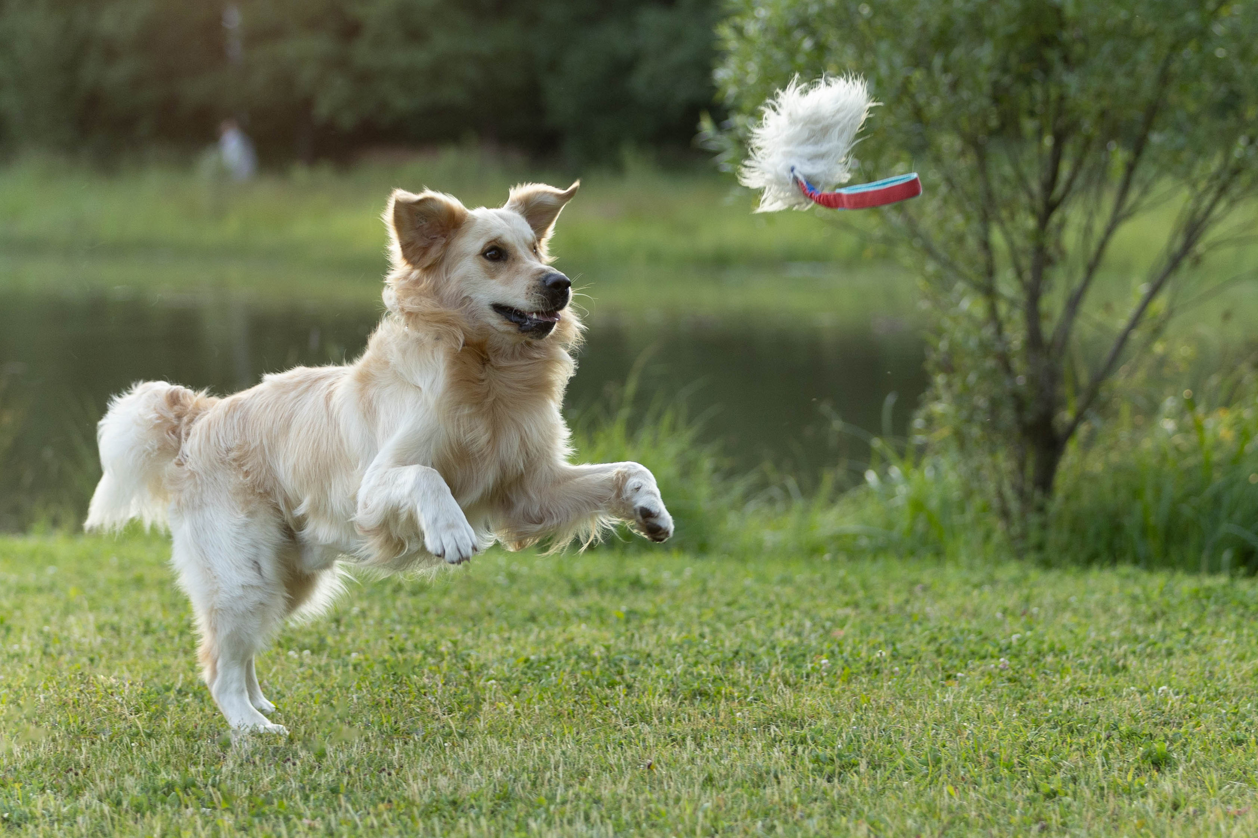 Отзывы. Фотограф Анастасия Ветковская, Москва