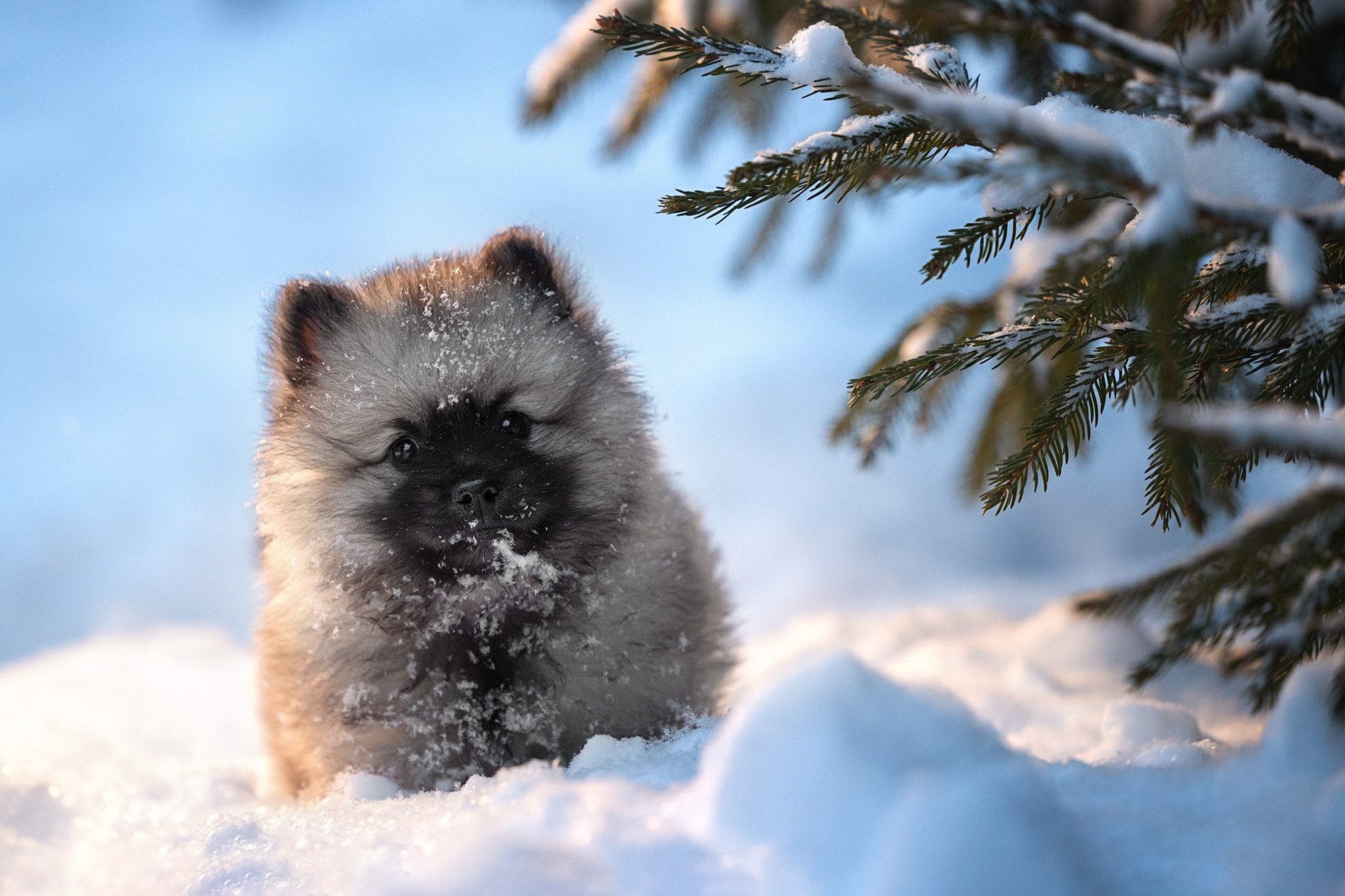 Отзывы. Фотограф Анастасия Ветковская, Москва