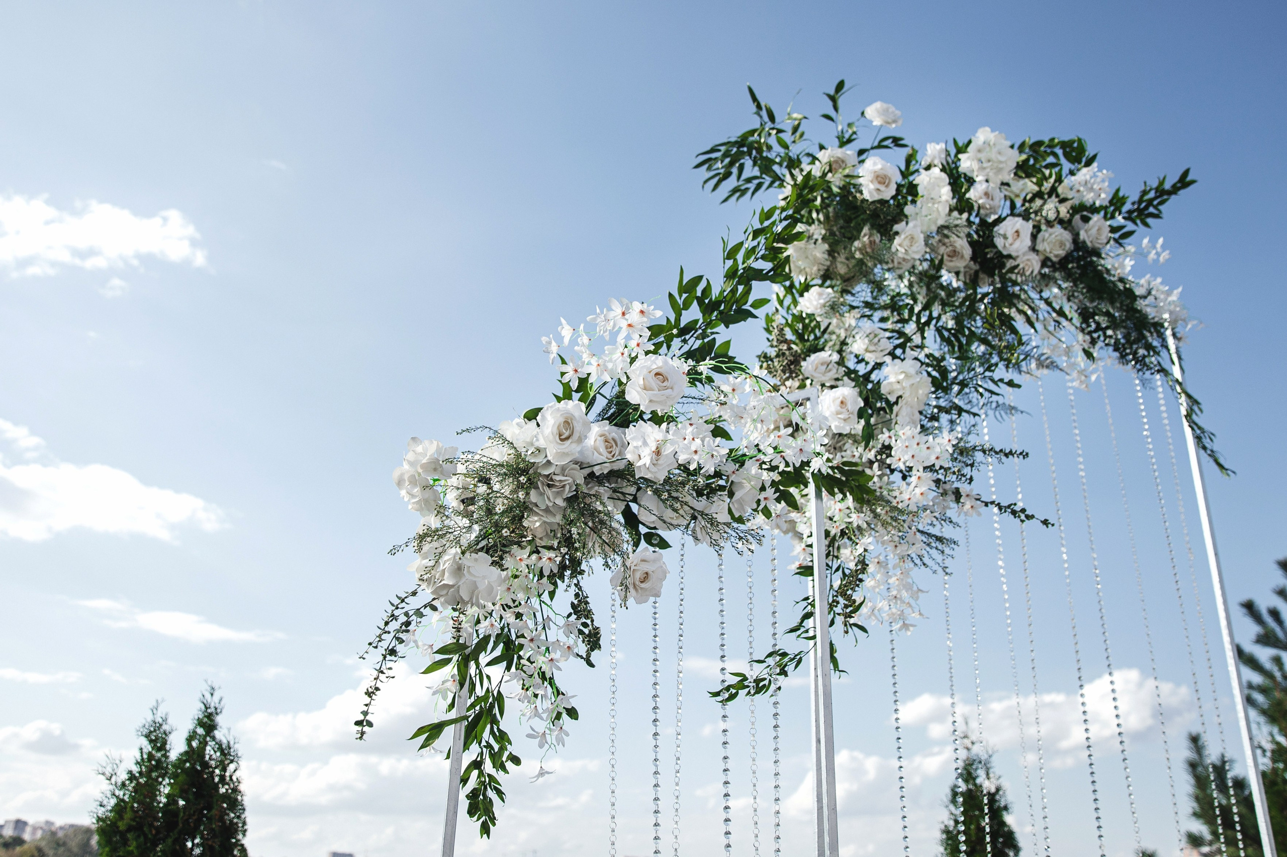 Vladislav & Julia. Свадебный организатор в Ростове-на-Дону Яснов Роман