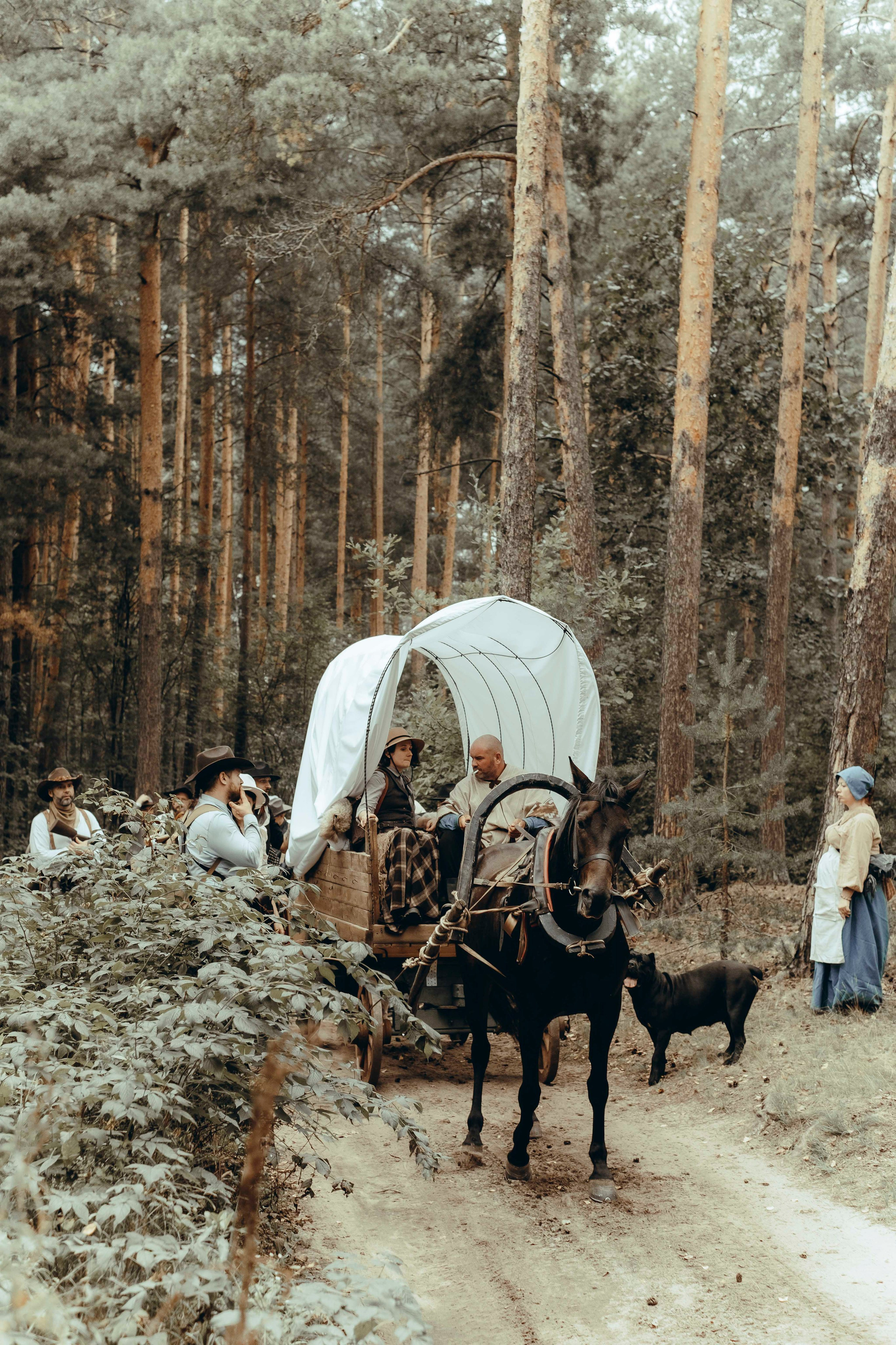 Дорога | Форт Август. XIII. Фотограф Аннё| Москва