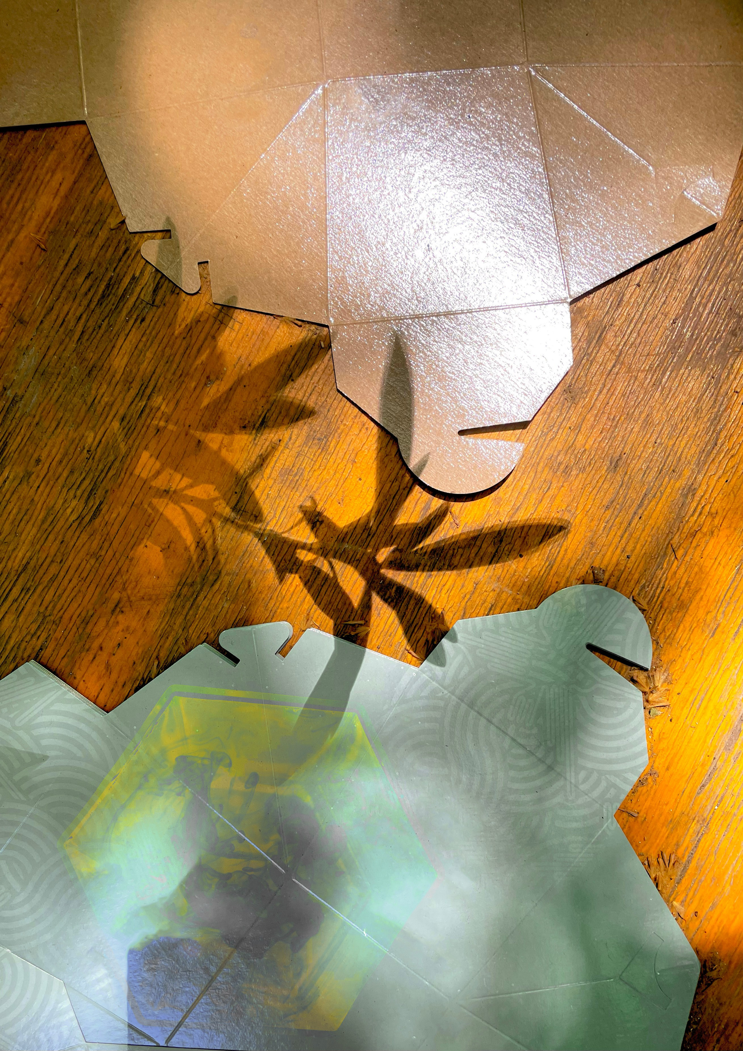 Tienda. Fotógrafa impresionista Rada Buenos Aires