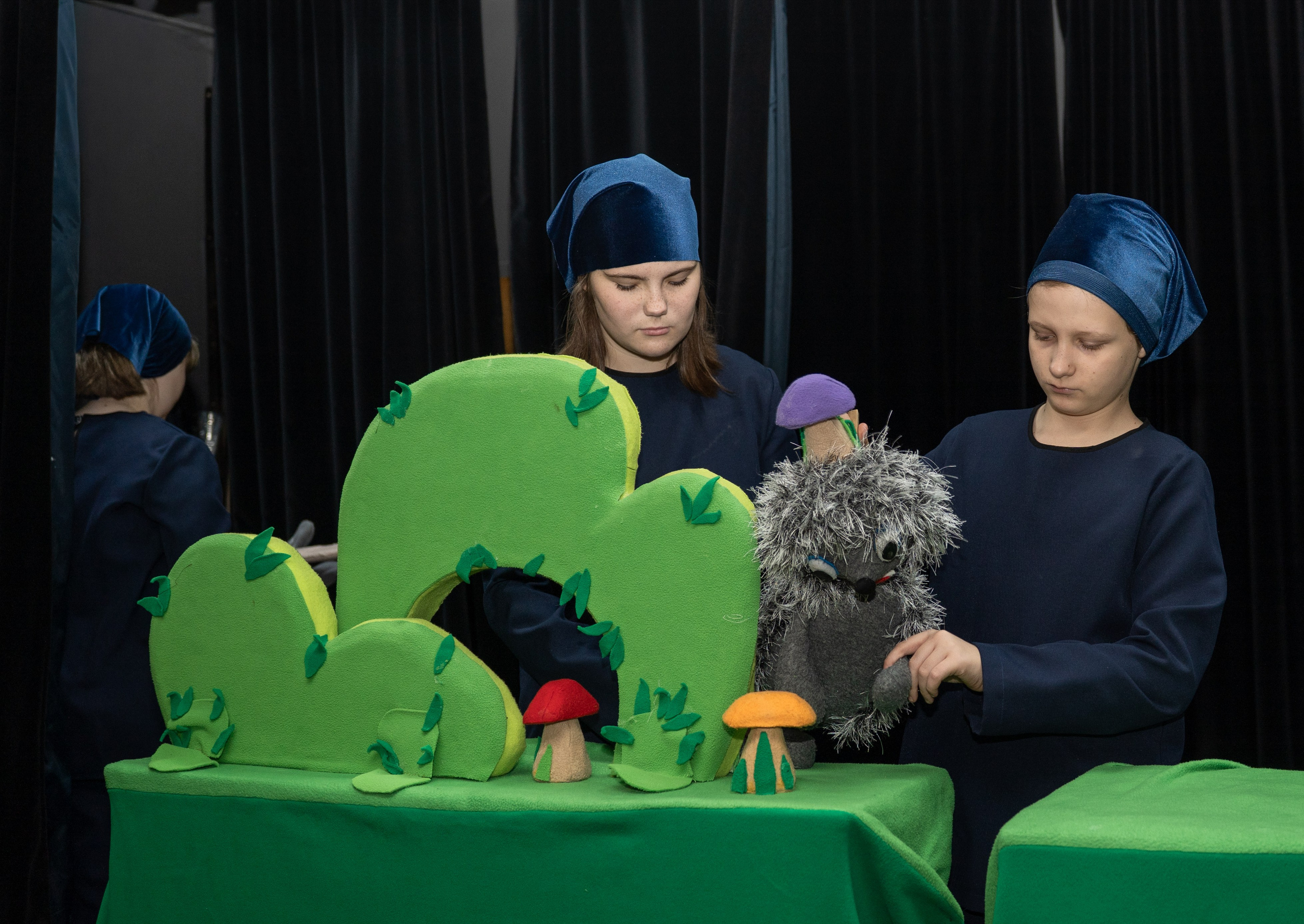 Спектакли. Детский и семейный фотограф в Краснознаменске Гостеева Екатерина