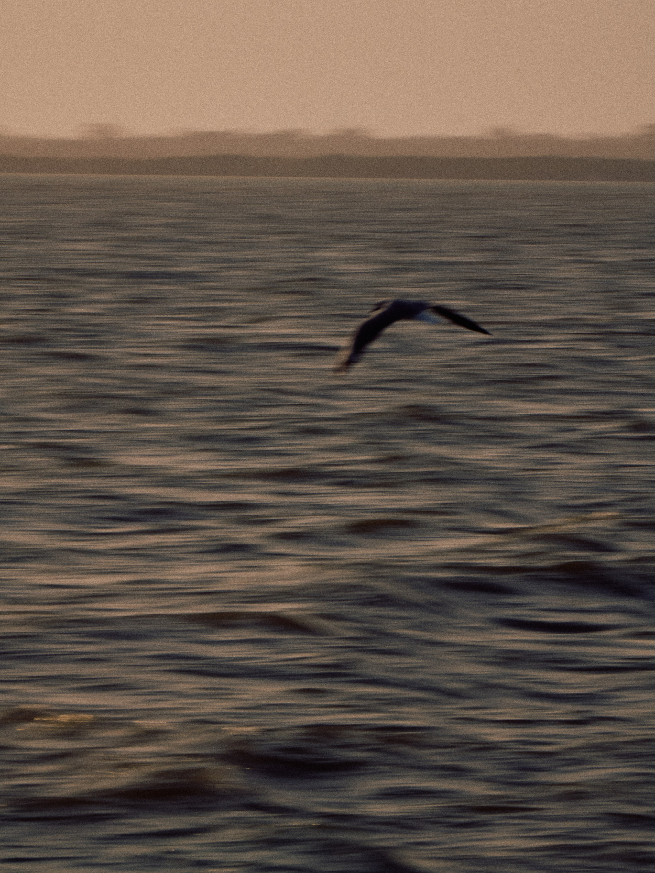 Guinea-Bissau. See the moment and catche. commercial and reportage