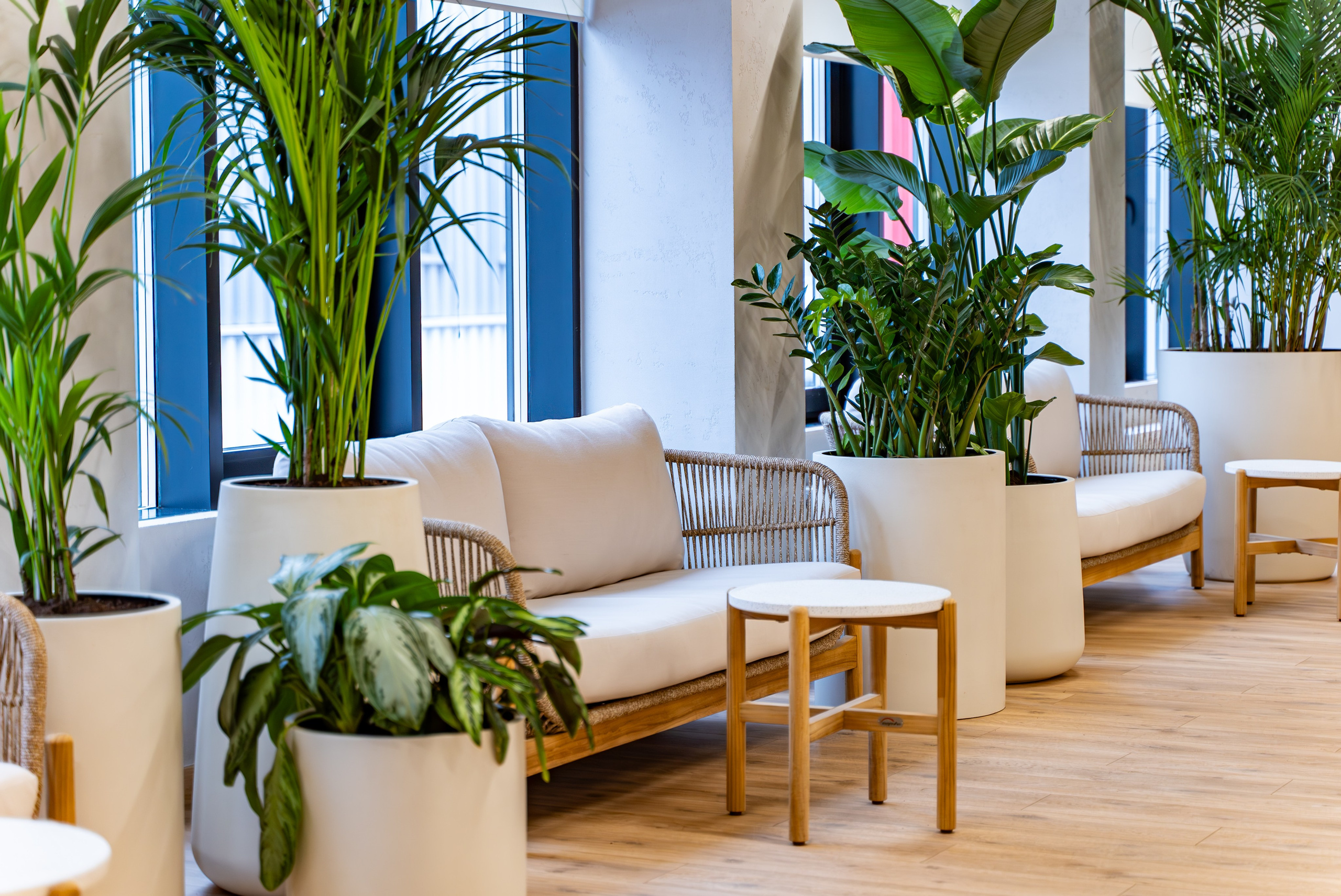 Индустриальный парк — озеленение. KUSTOV PRODUCTION — профессиональная фотосъёмка в Москве