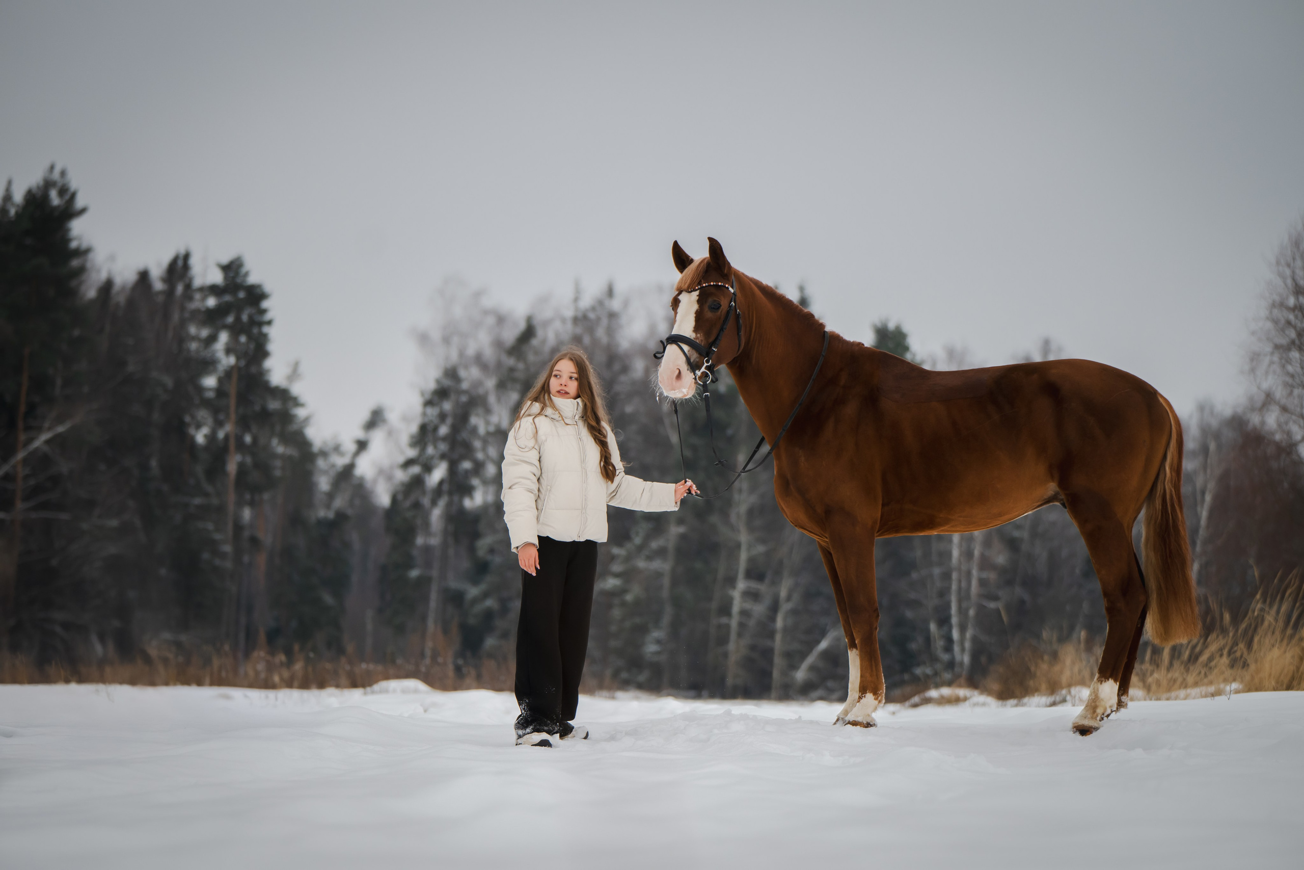 Виктория и Лео. Фотограф Анималист в Москве Анастасия Жучкова