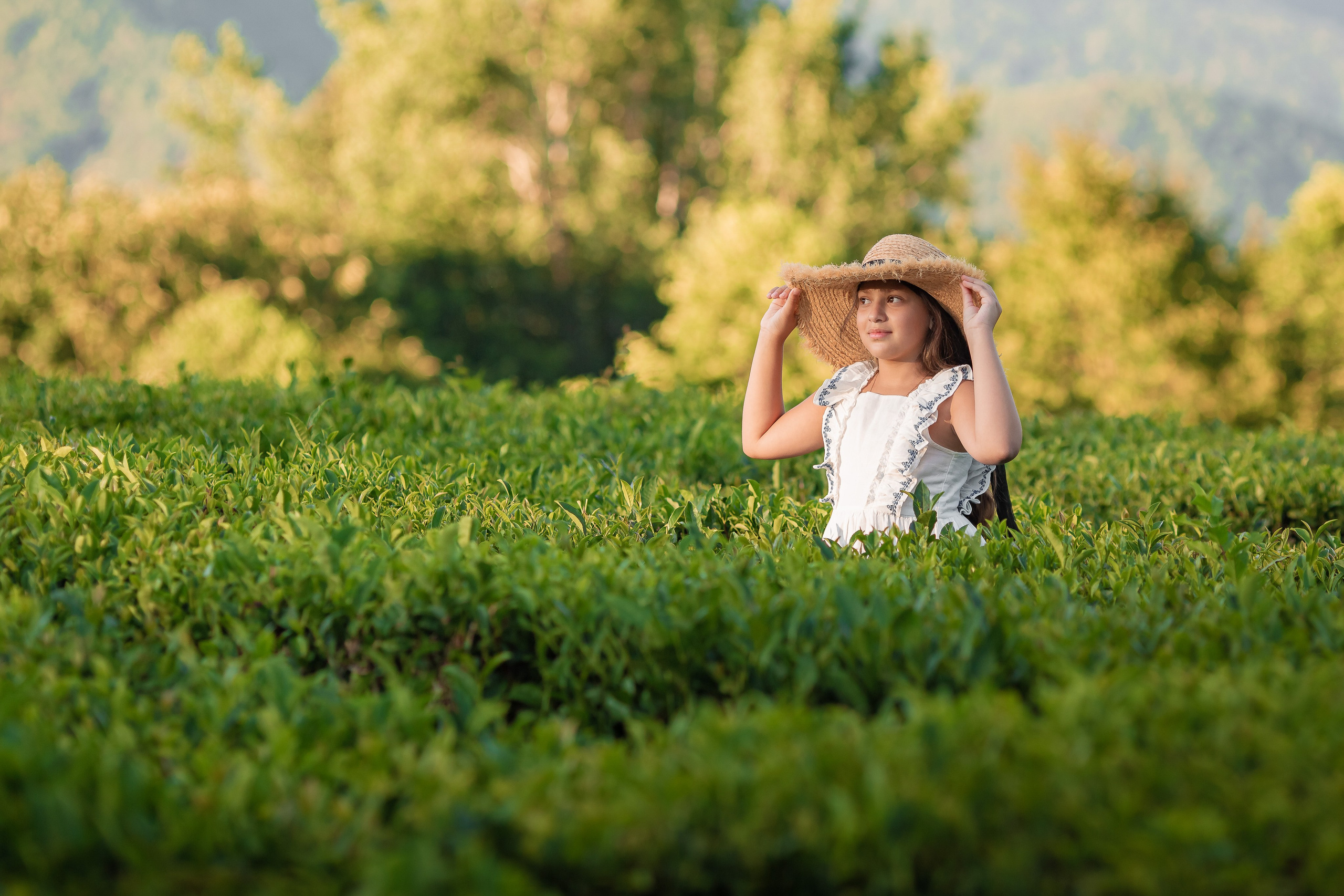 Чайная плантация. Сочи. Семейный и детский фотограф в Краснодарском крае Натали Фищенко