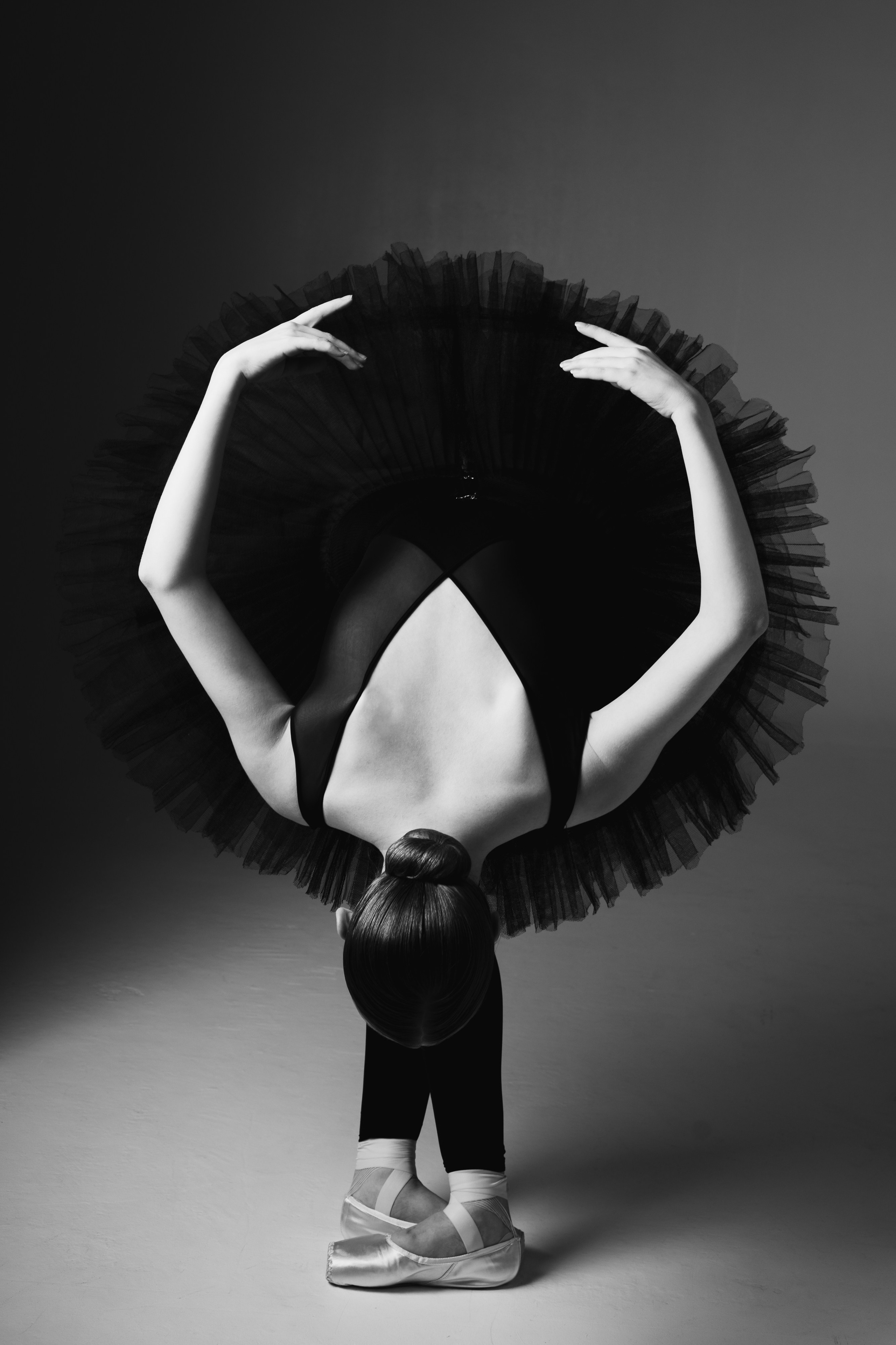 София. Свадебный и семейный фотограф в Новосибирске Дарья Кель