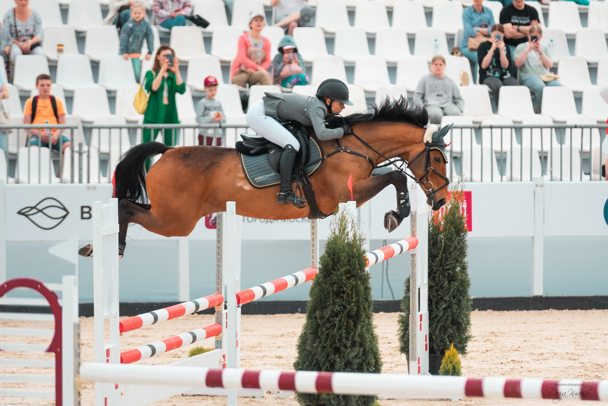 BITRIVER CUP 2023. Конный фотограф Куракина Дарья • Фотосессии с лошадьми