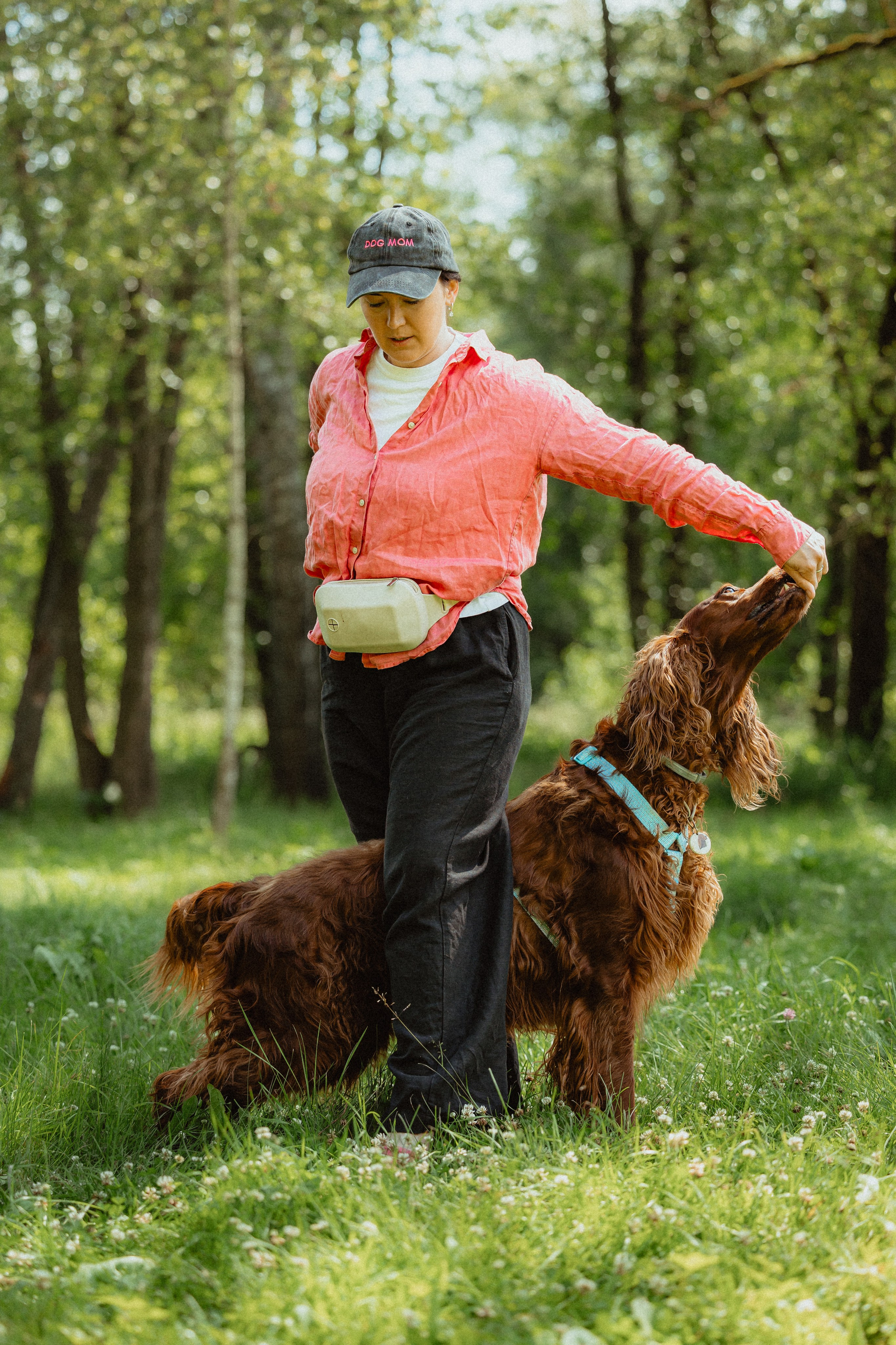 Выездной дог-тренинг от школы «Шерсть имею»