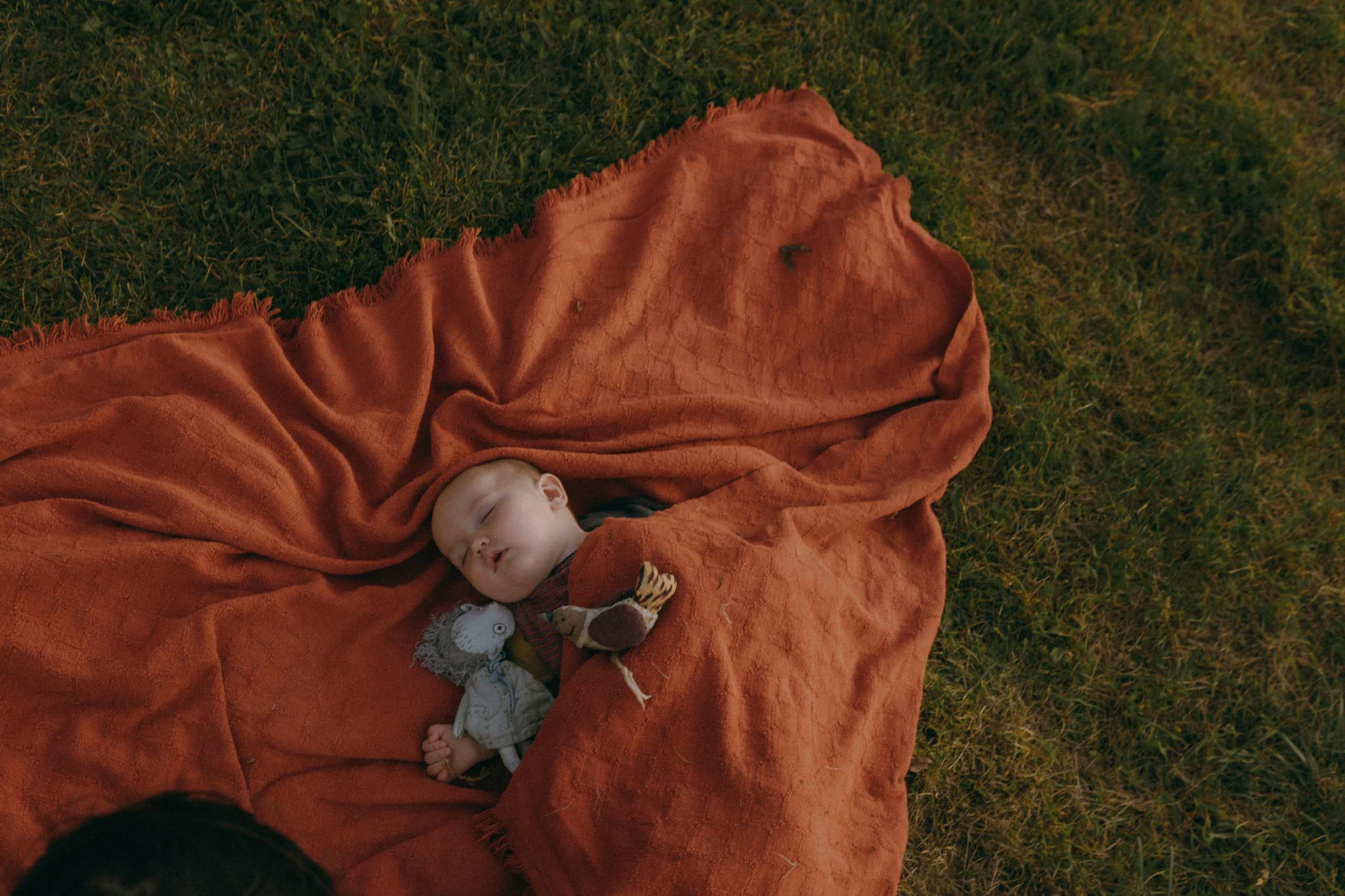Маша и Мирра. Фотограф-анималист Ксения Воробьева, Москва