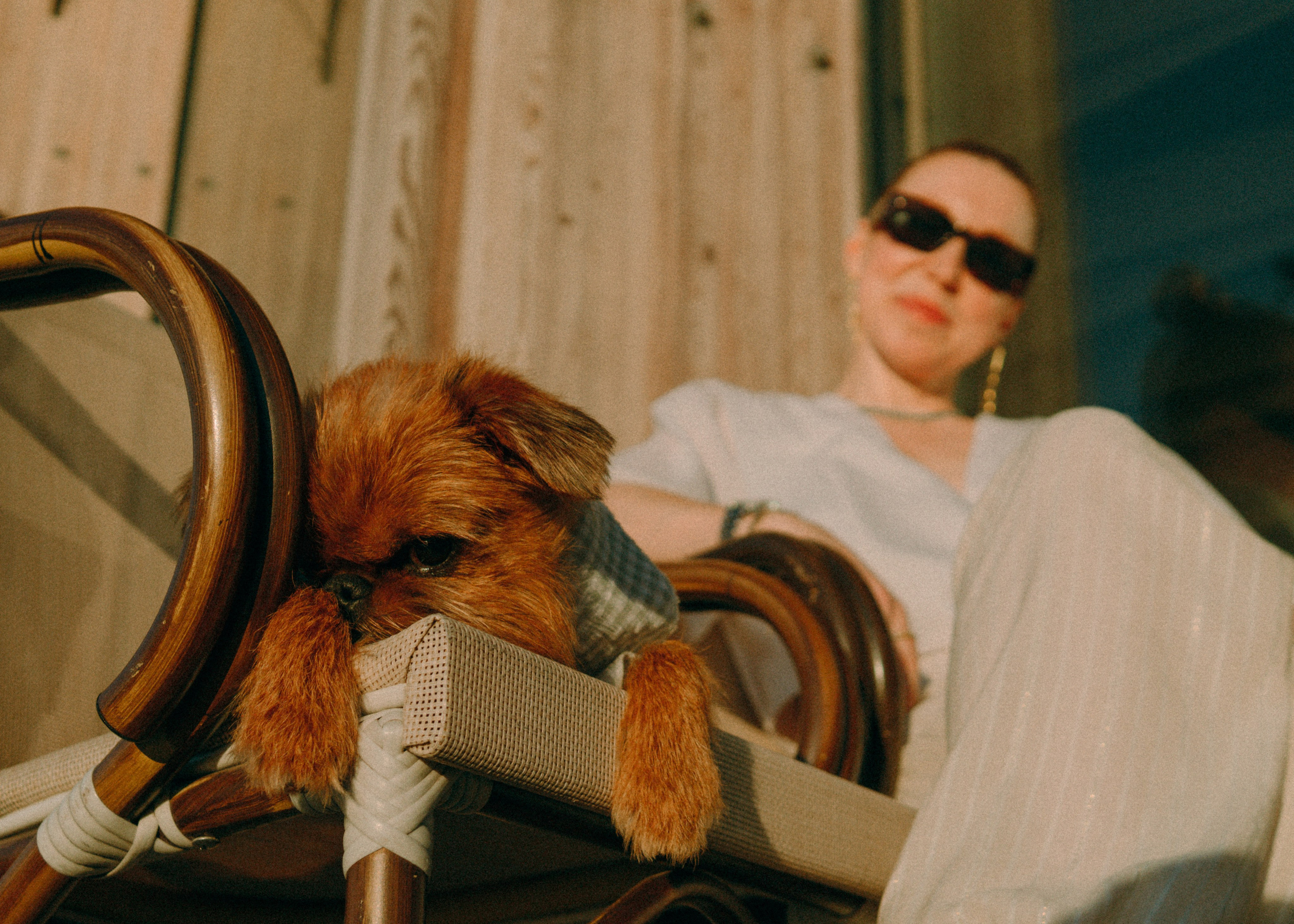 Лена и Альфи. Фотограф-анималист Ксения Воробьева, Москва