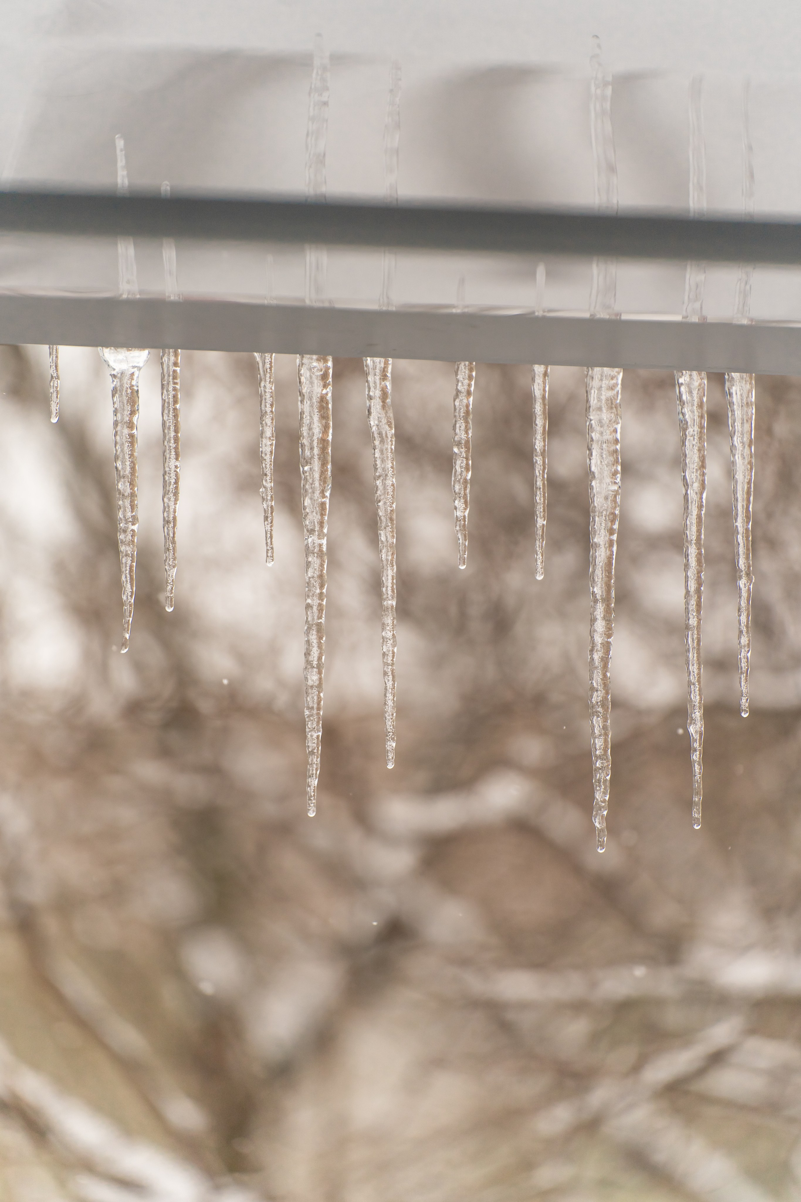 Софья и Хина. Фотограф в Москве Ленарская Дарья